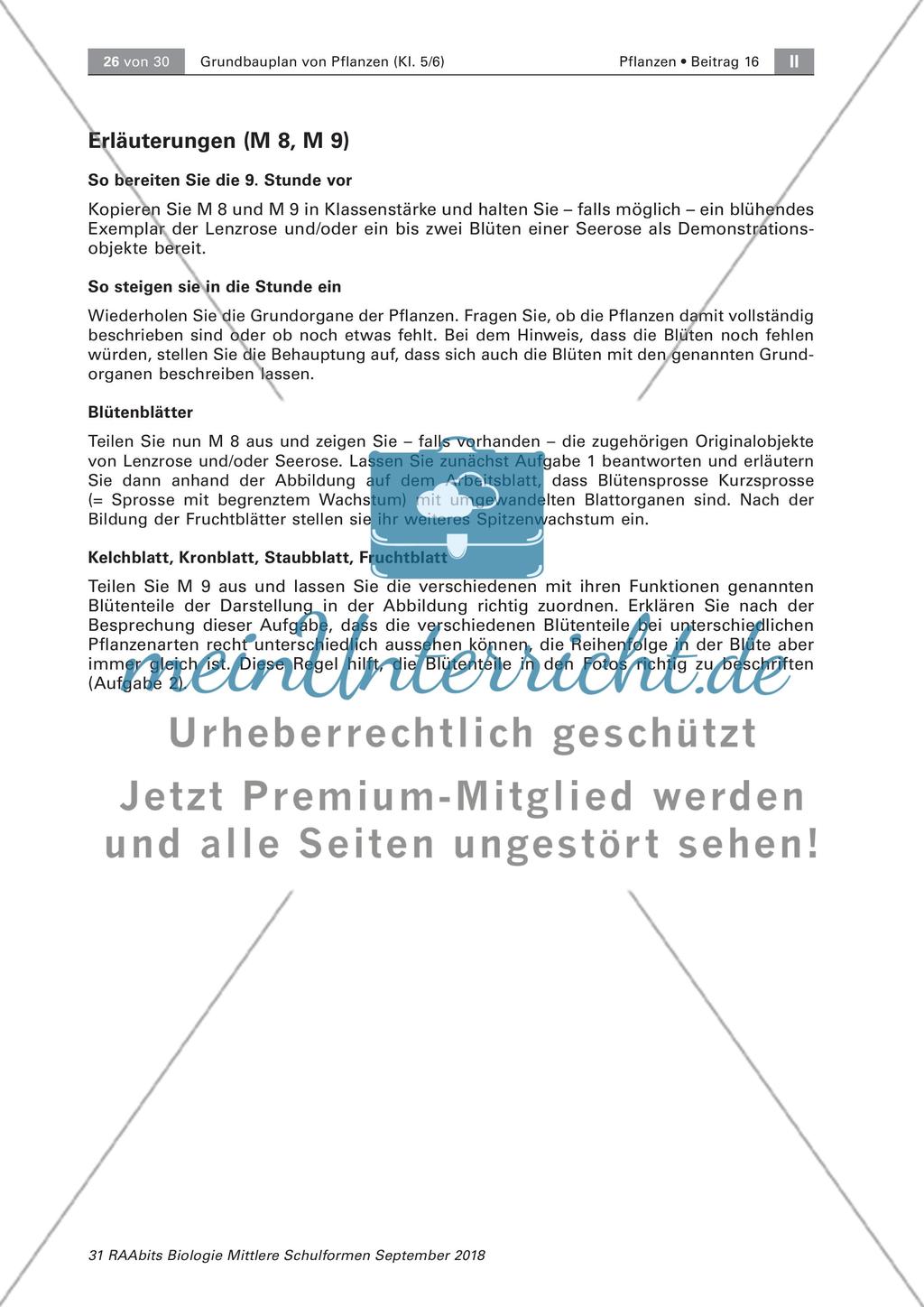Pflanzen: Wurzel, Blüten aus Blättern, Pflanzenquiz Preview 10
