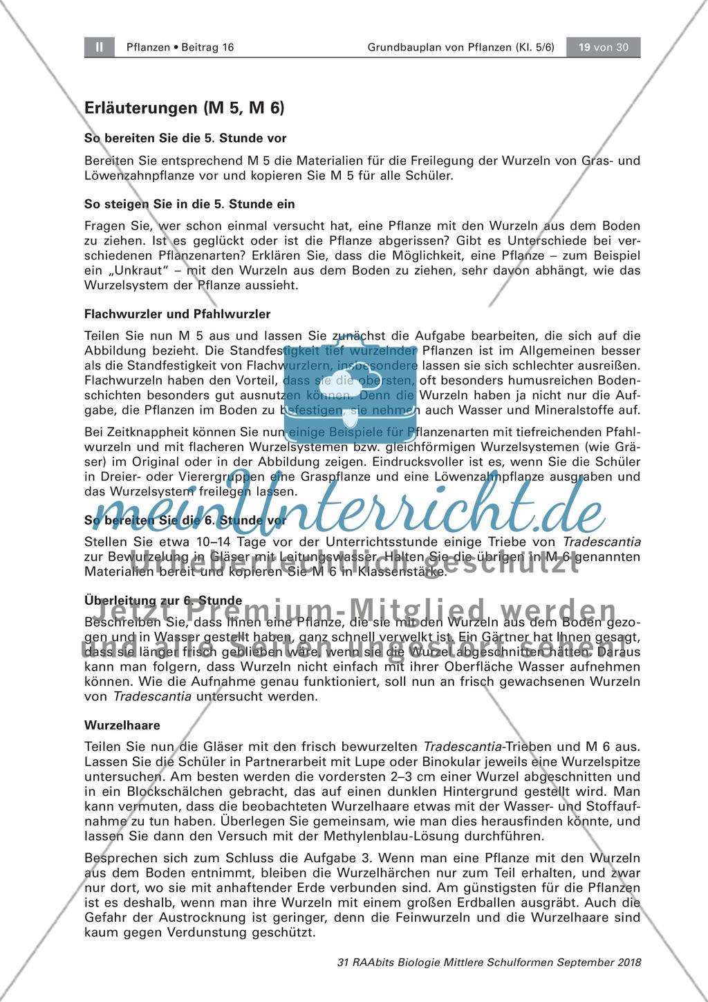 Pflanzen: Wurzel, Blüten aus Blättern, Pflanzenquiz Preview 3