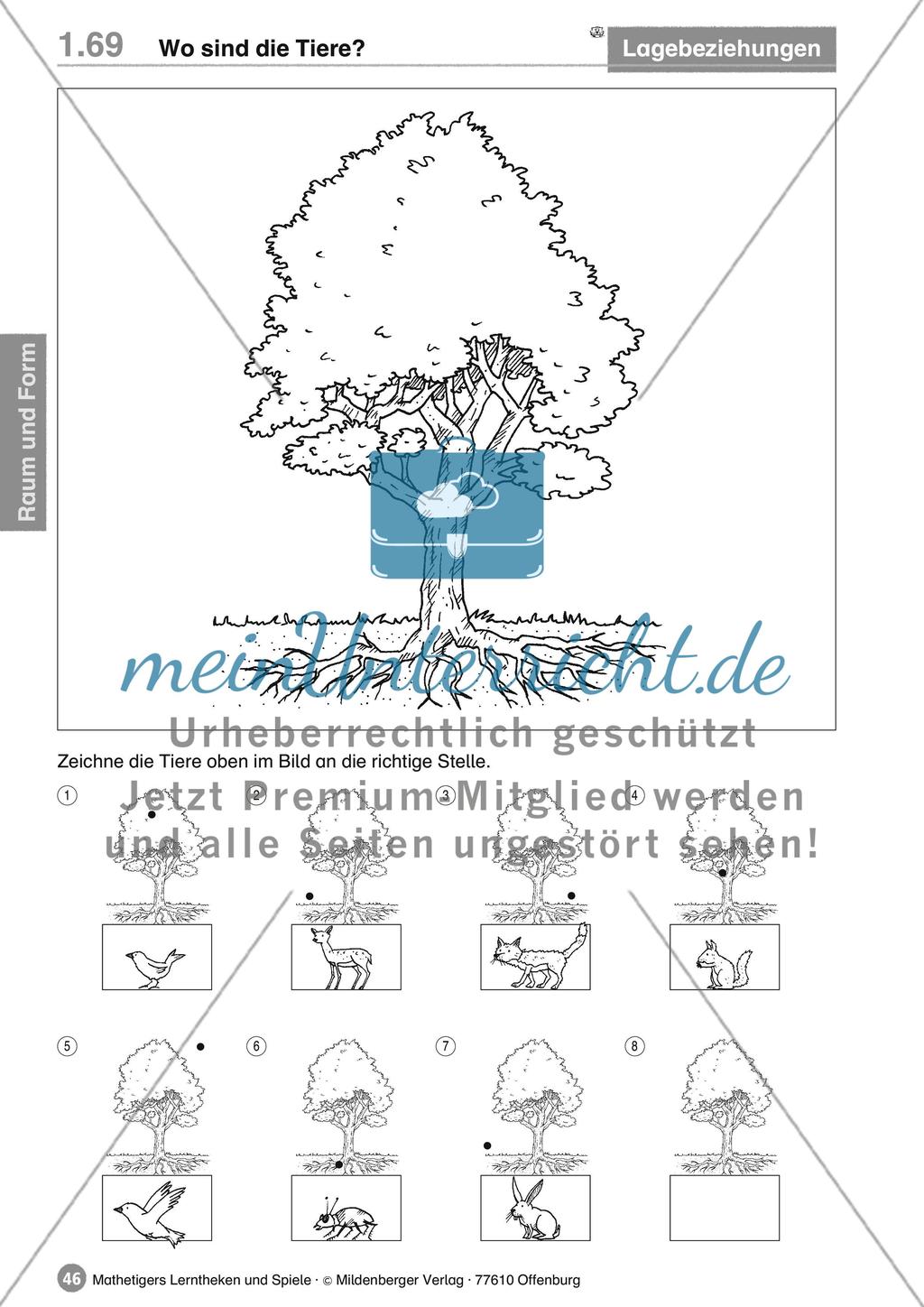 Lagebeziehungen Preview 2