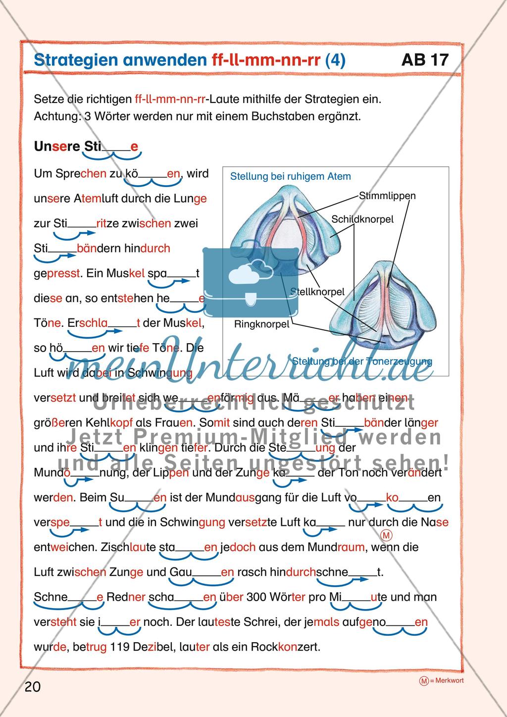 Konsonantenverdoppelung Preview 4