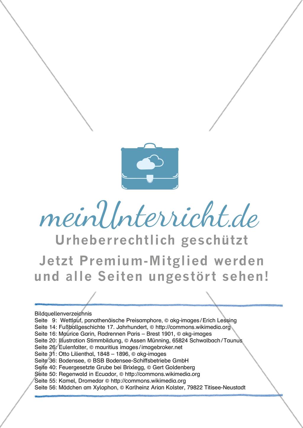 ie Preview 6