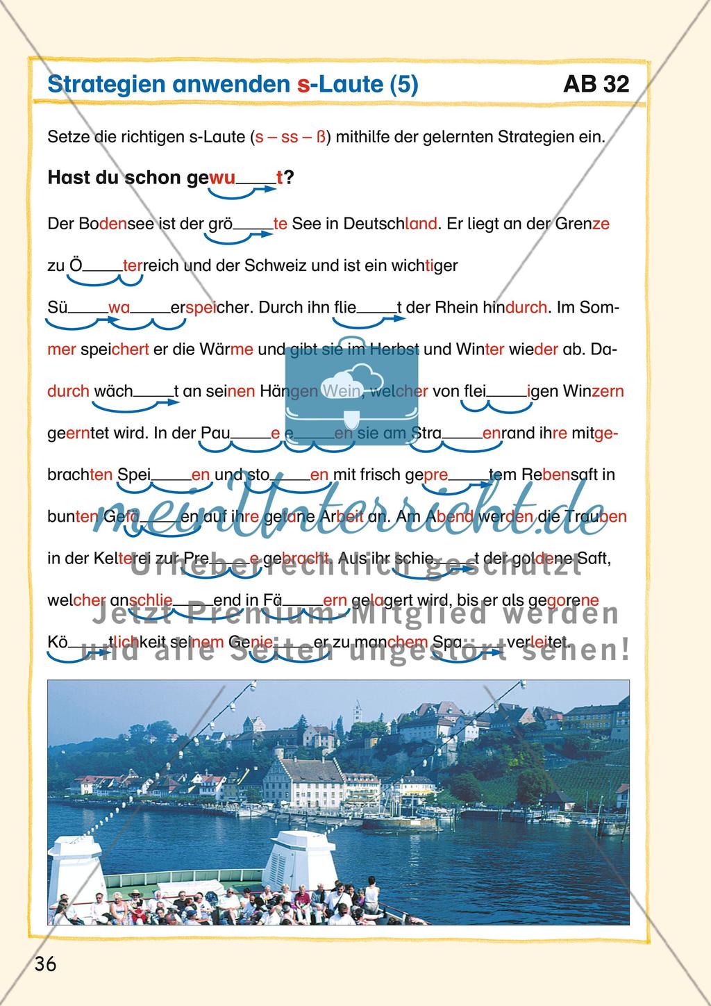 s-Laute Preview 5