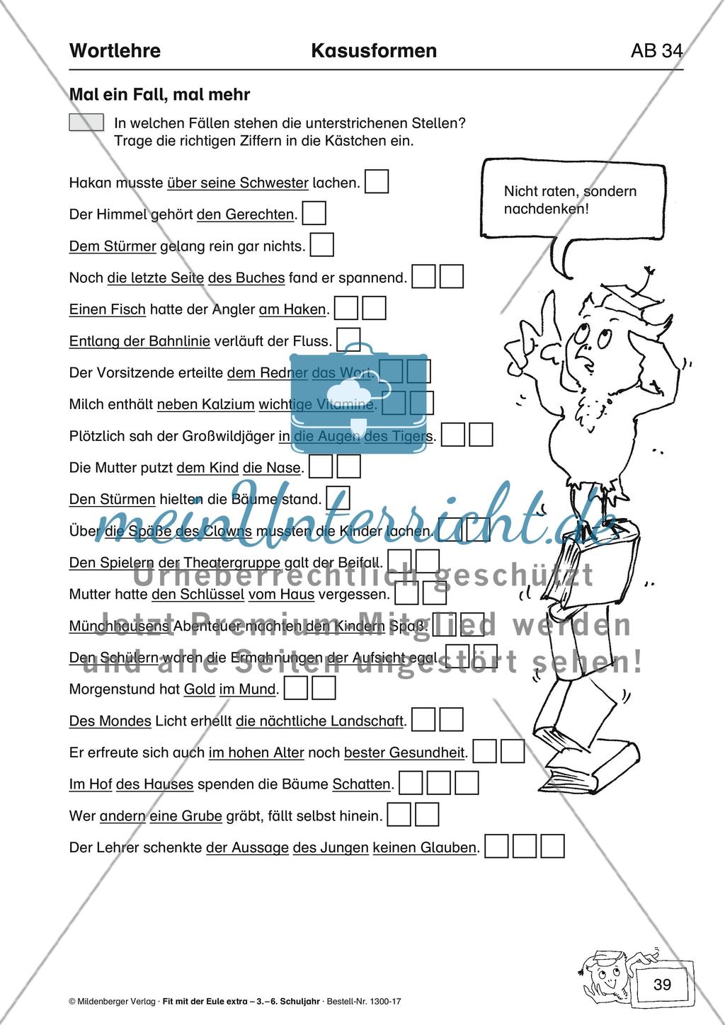 Wortlehre: Kasusformen Preview 17