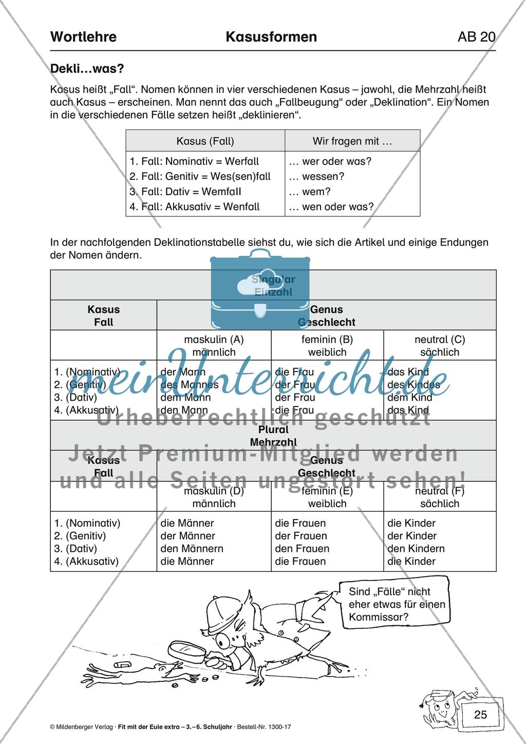 Wortlehre: Kasusformen Preview 3