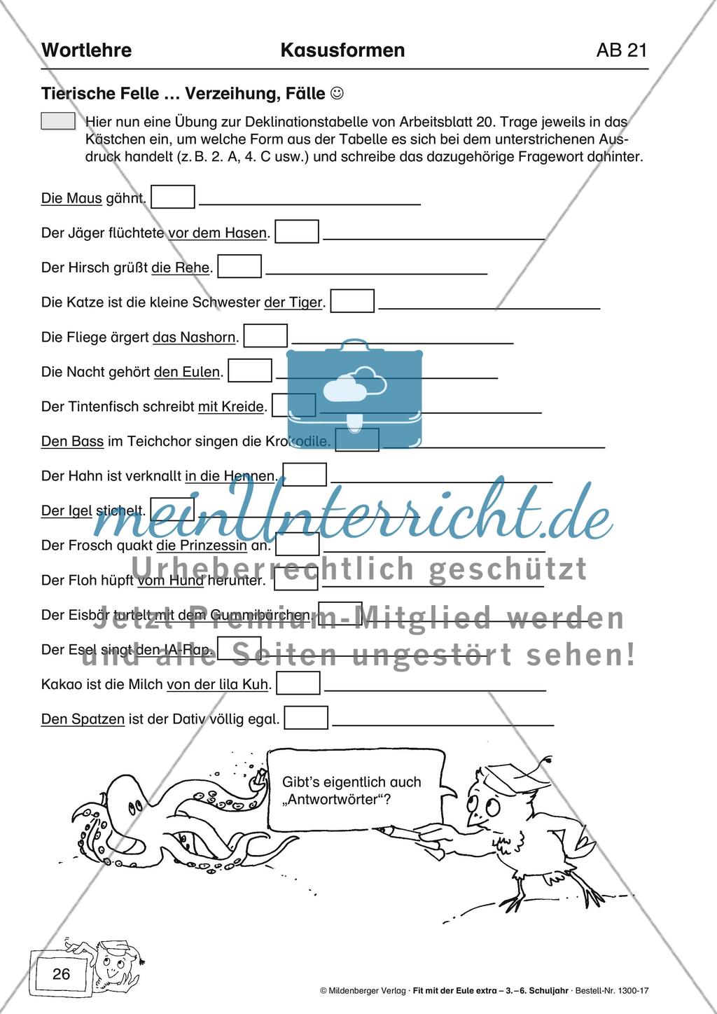 Wortlehre: Kasusformen Preview 4