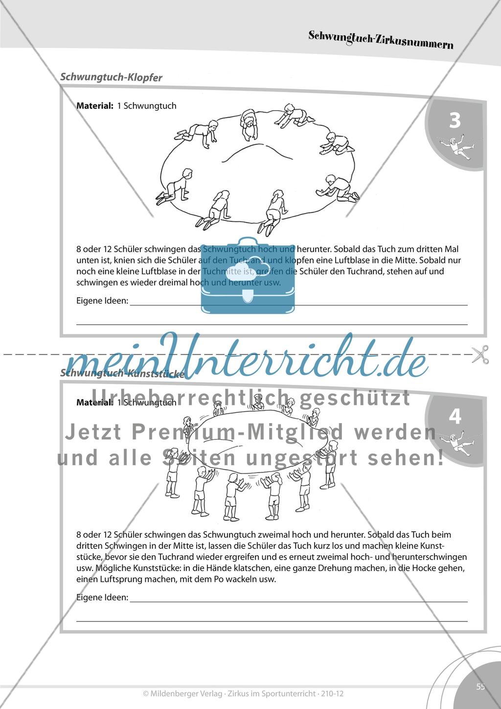 Das Schwungtuch im Zirkus Preview 3