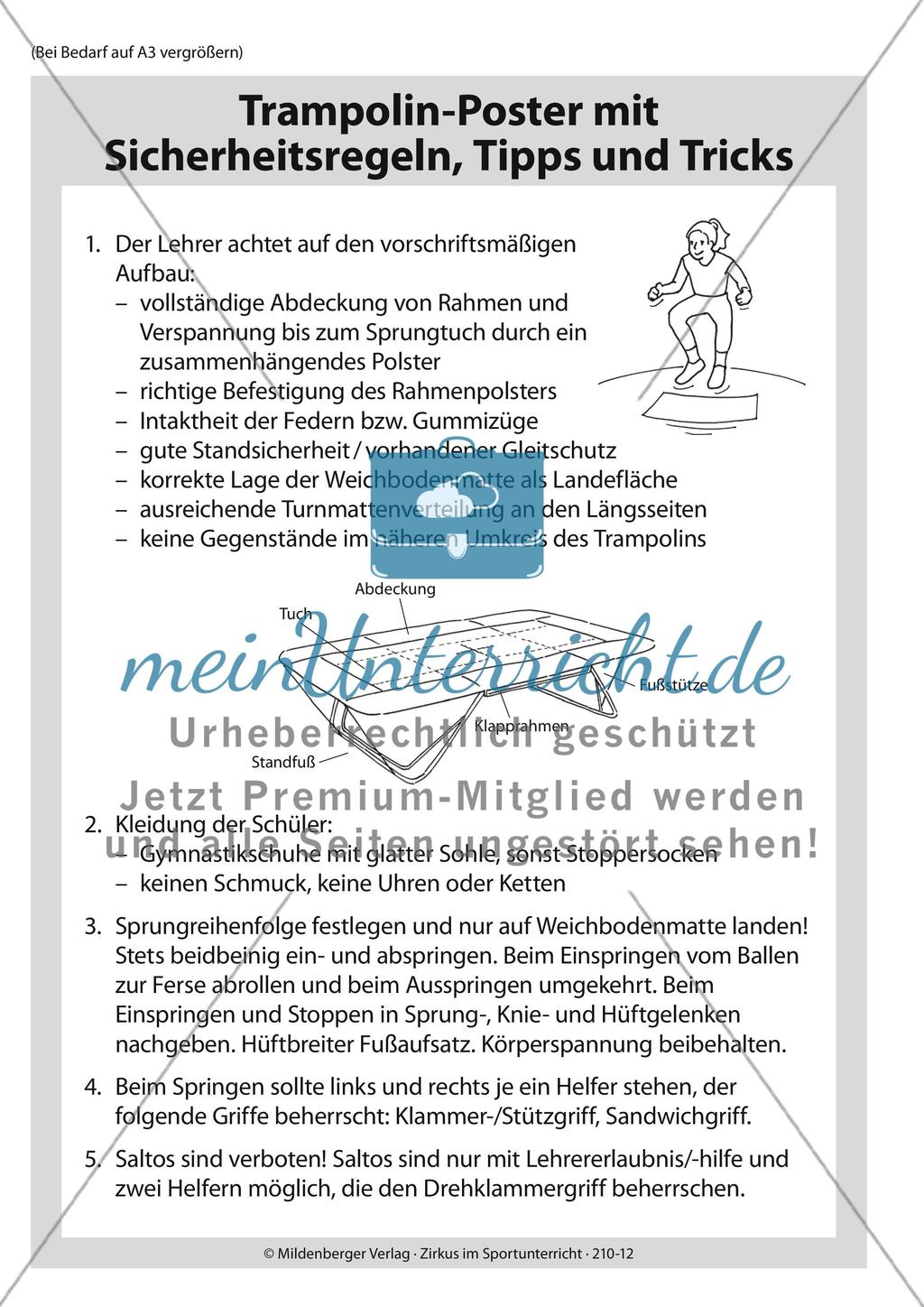 Das Trampolin im Zirkus Preview 1