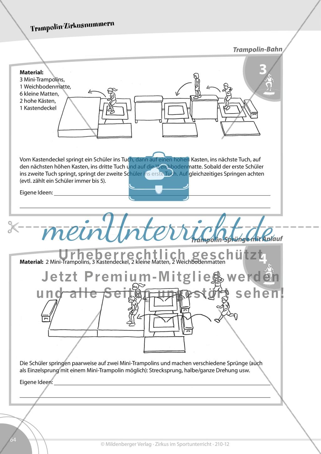 Das Trampolin im Zirkus Preview 3