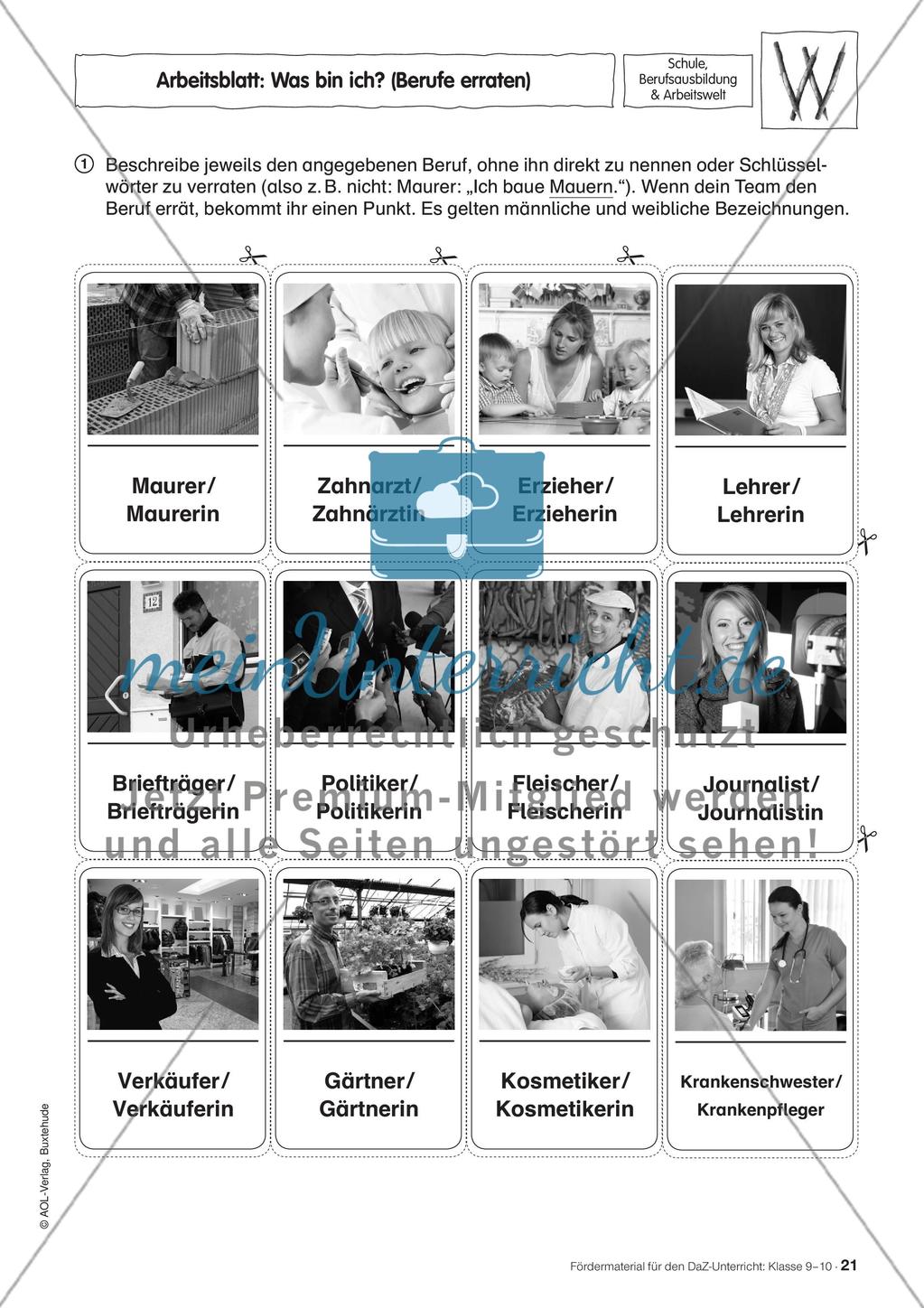 Fördermaterial für den DaZ-Unterricht: Klasse 9-10 - Teil 2 Preview 3