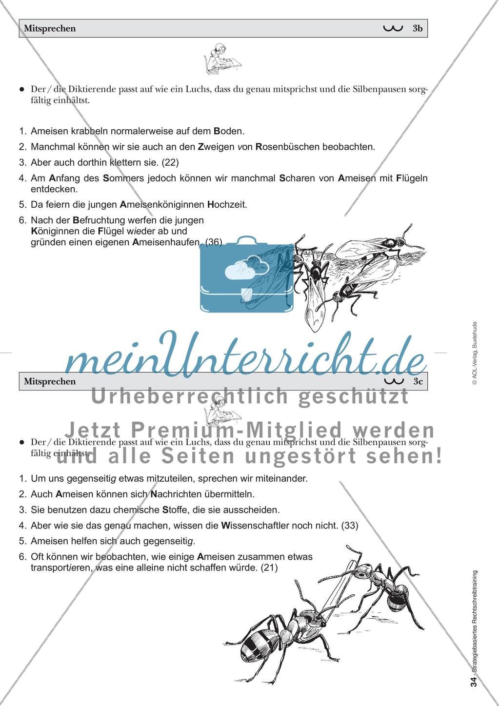 strategie-mitsprechen-meinunterricht