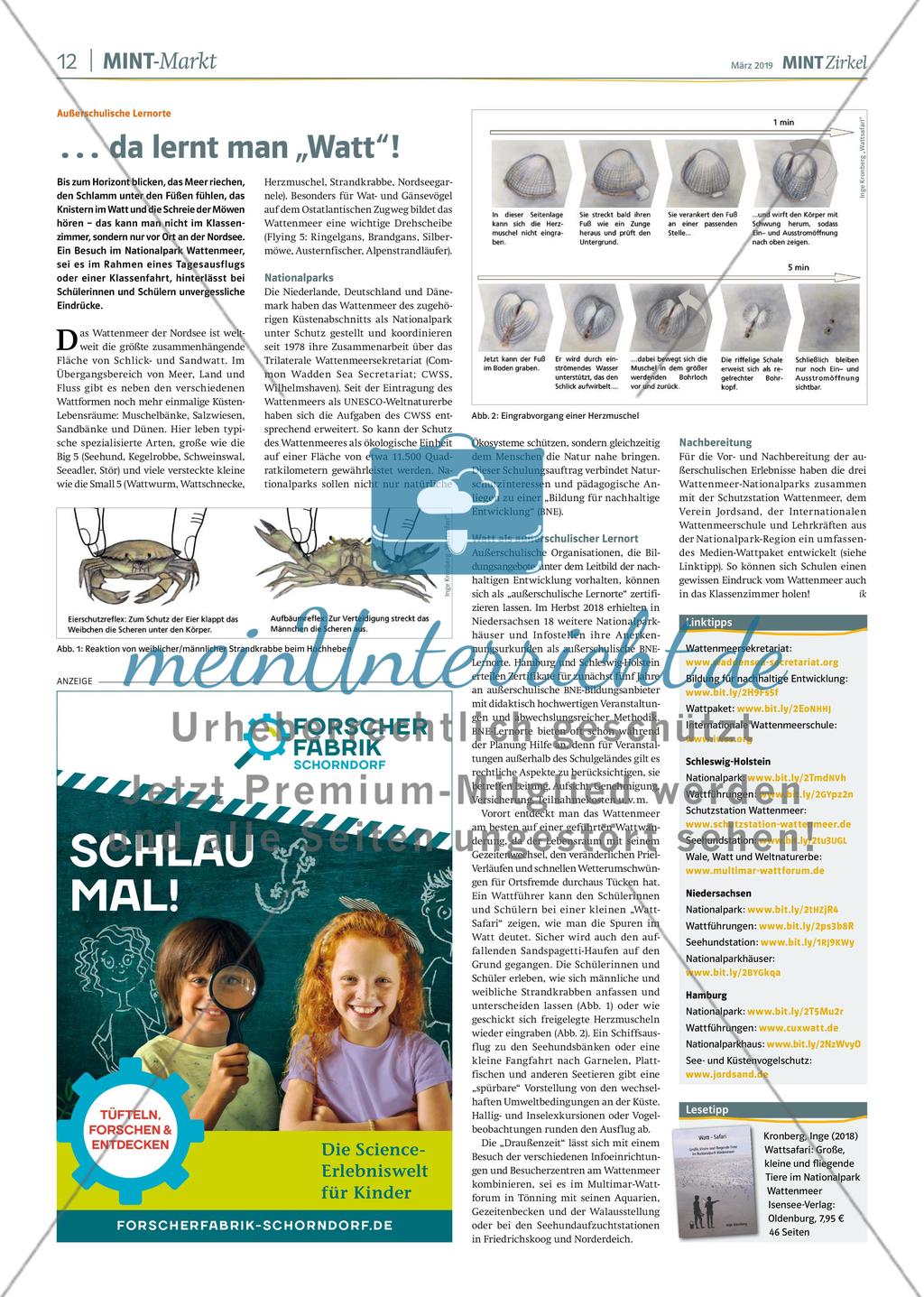 MINT Zirkel - Ausgabe 1, März 2019 Preview 12