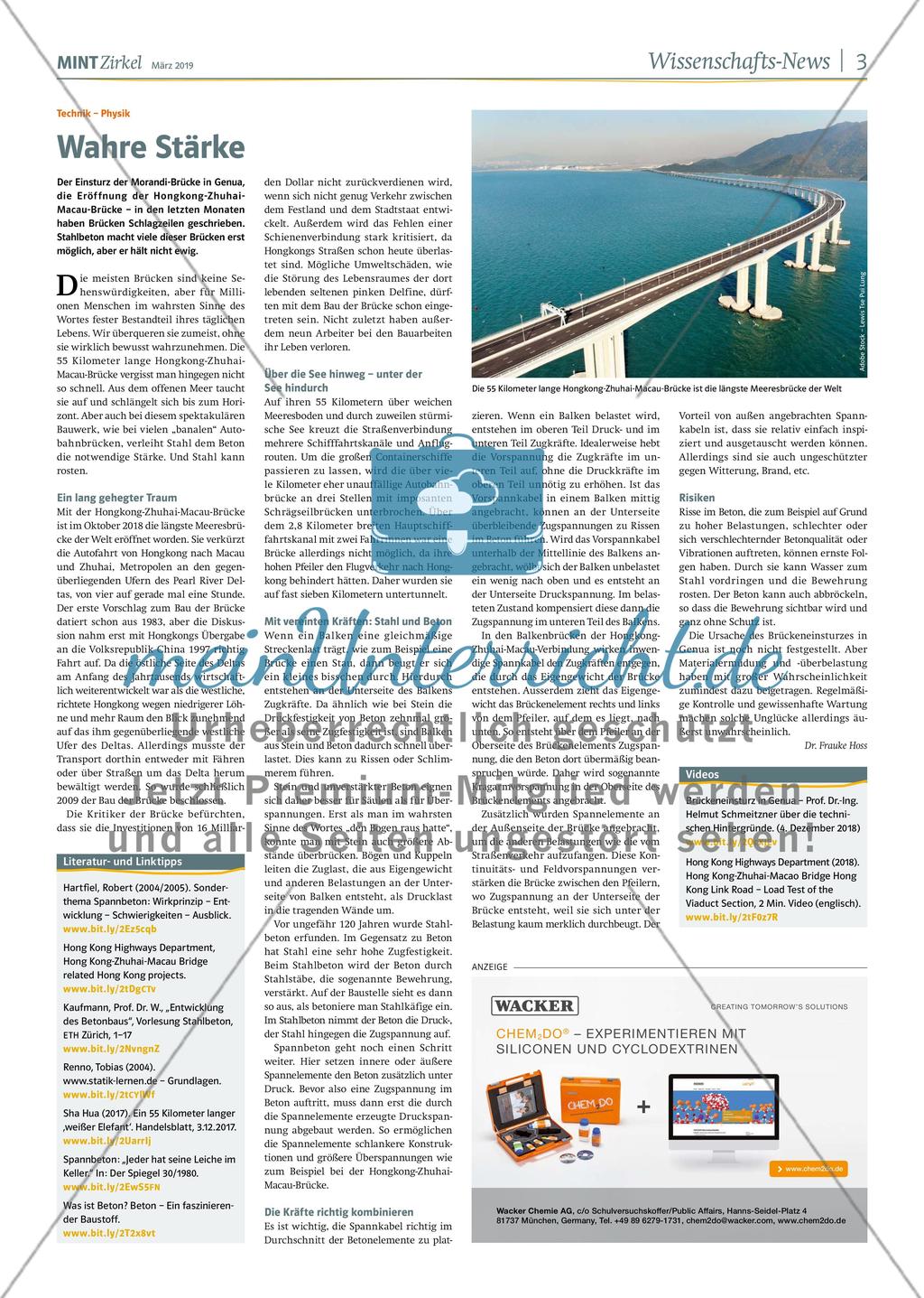 MINT Zirkel - Ausgabe 1, März 2019 Preview 3