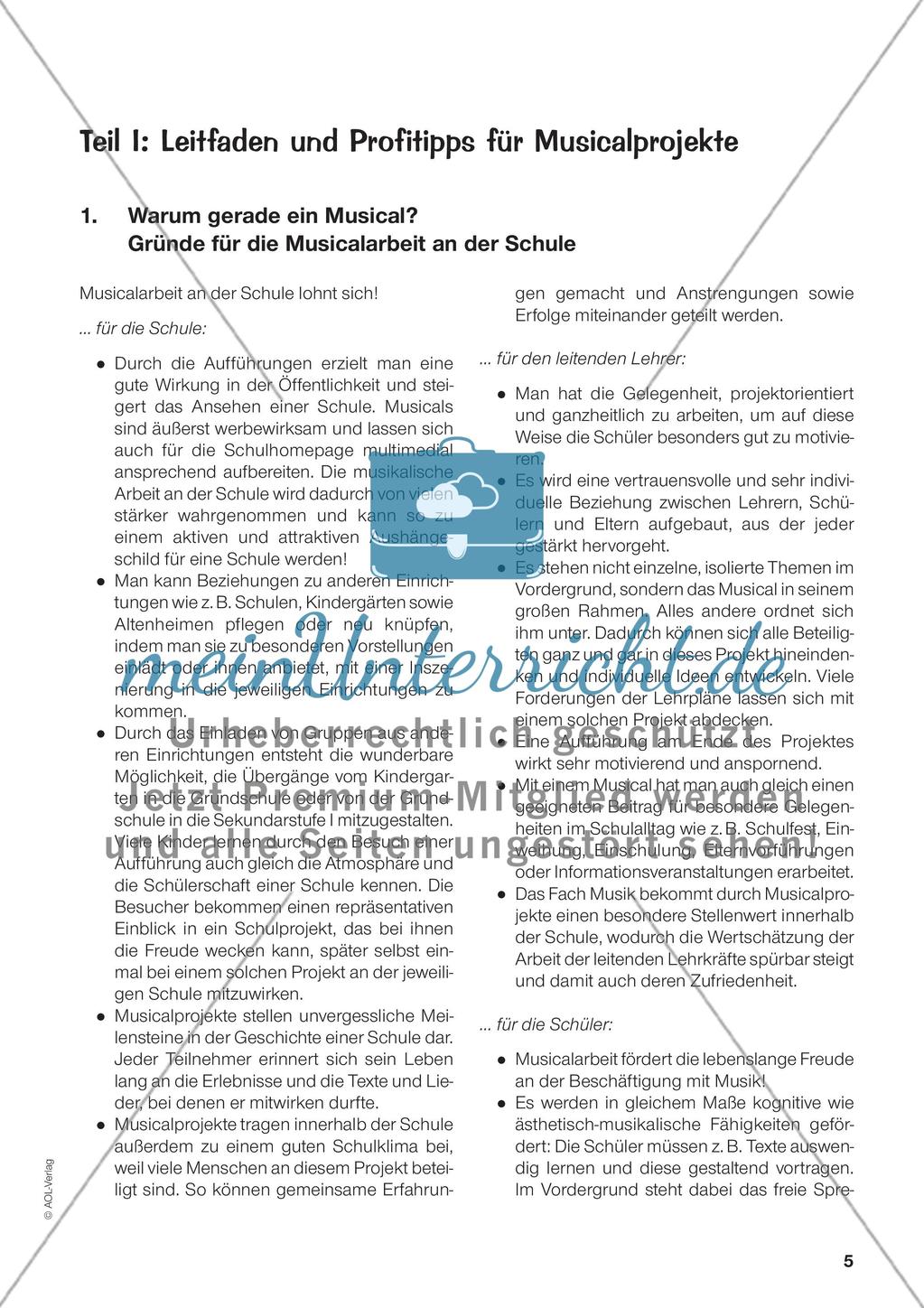 Leitfaden und Profitipps für Musicalprojekte Preview 2