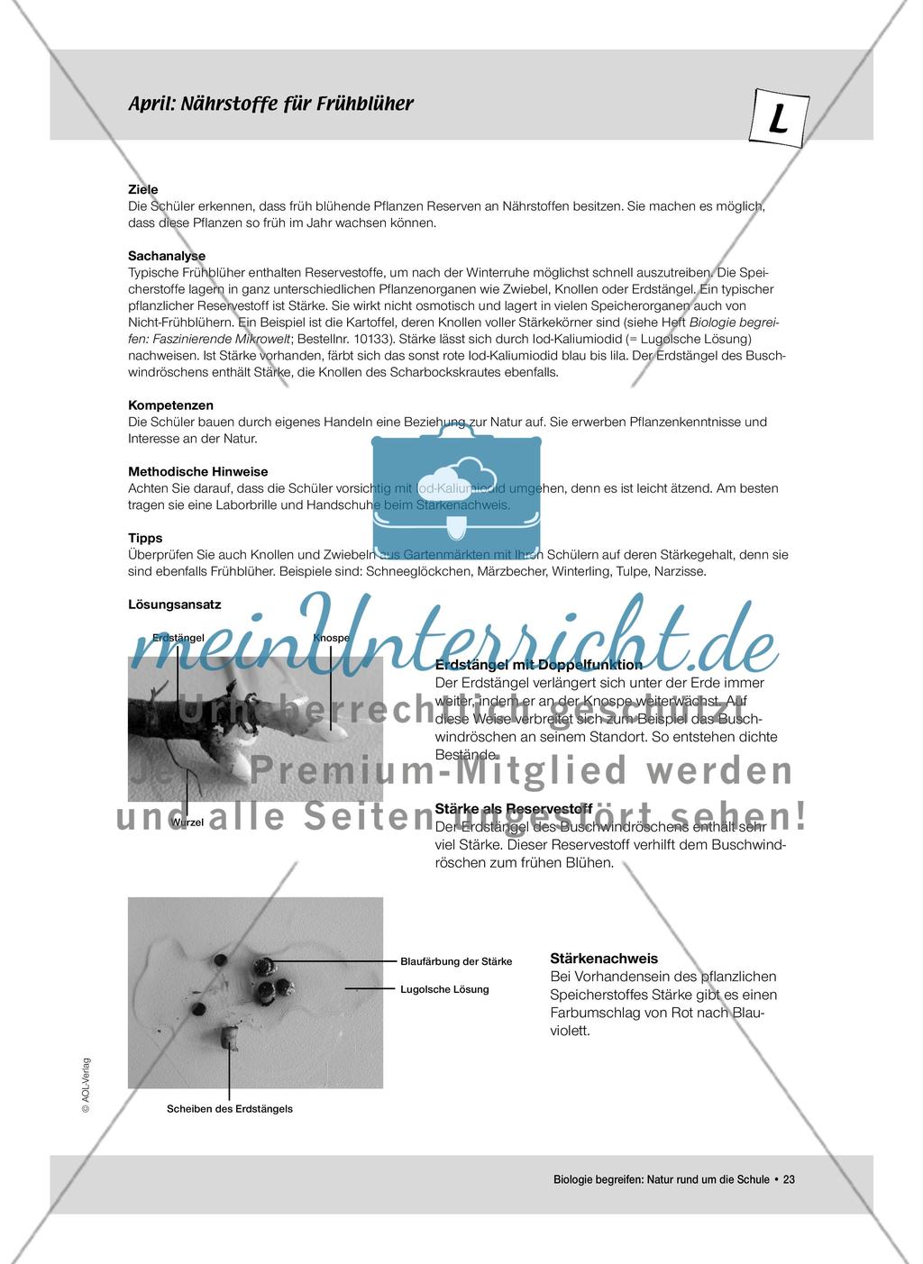 April: Nährstoffe für Frühblüher / Pflanzliche Samen Preview 1
