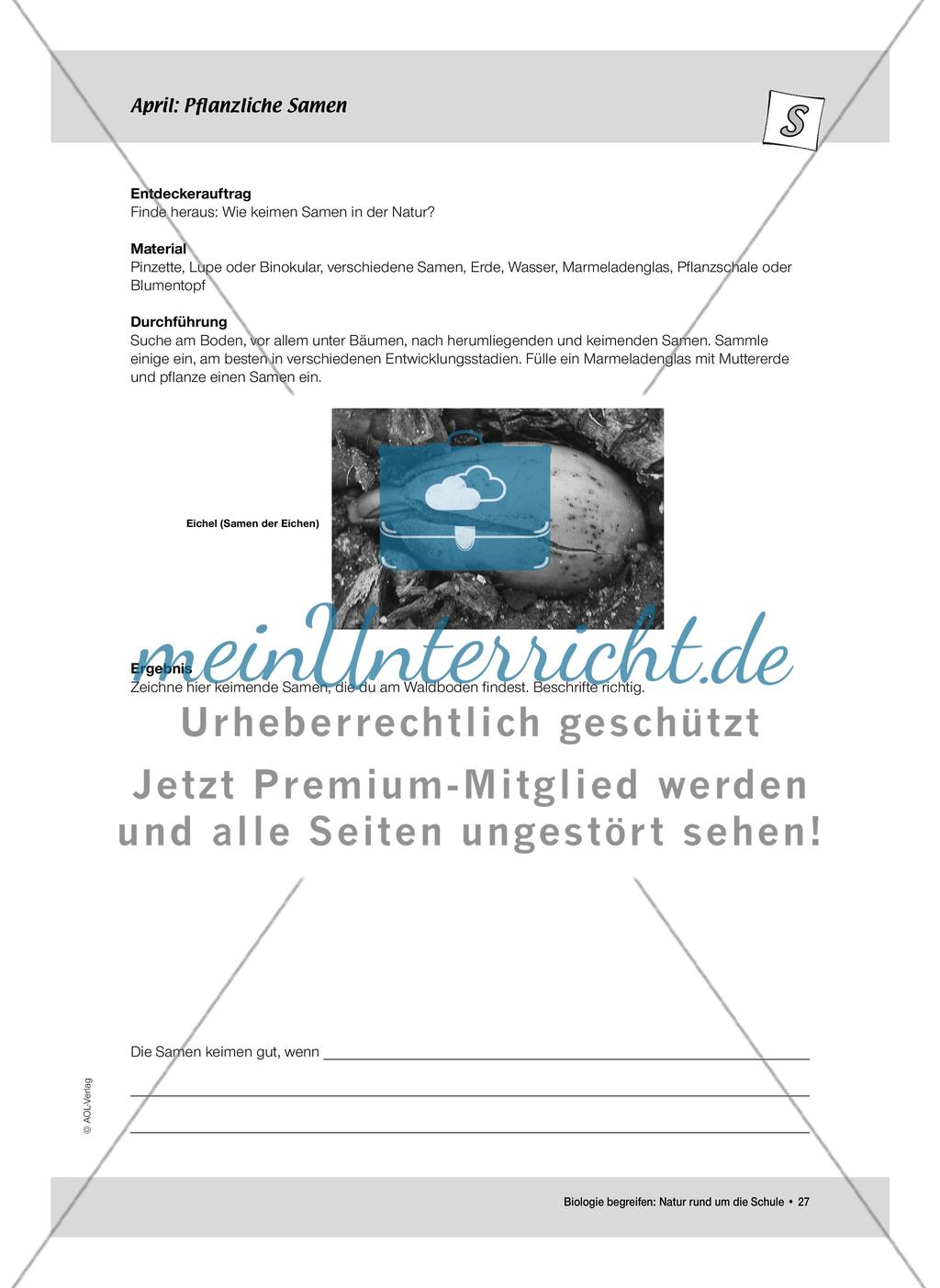 April: Nährstoffe für Frühblüher / Pflanzliche Samen Preview 5