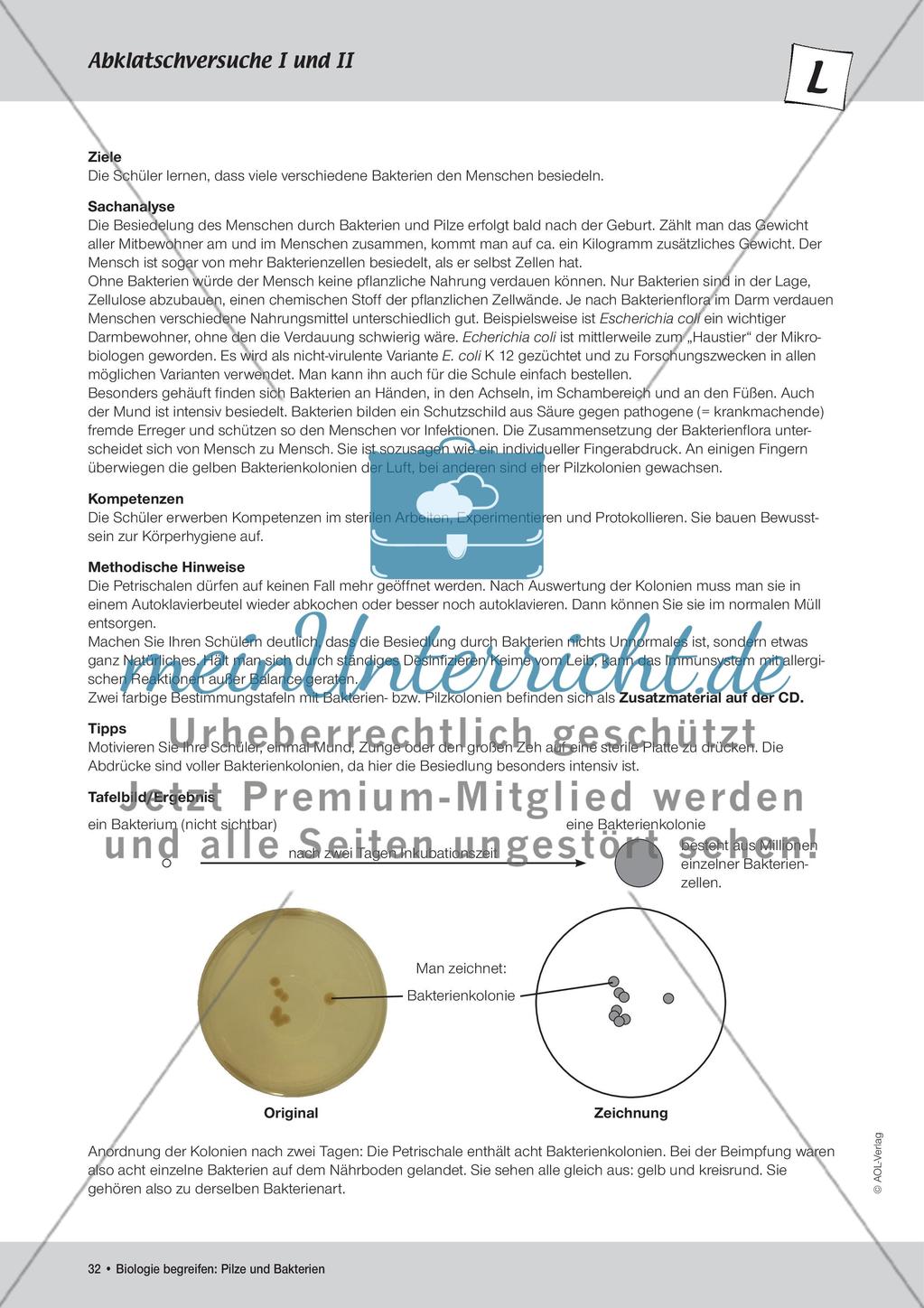 Abklatschversuche I und II Preview 1