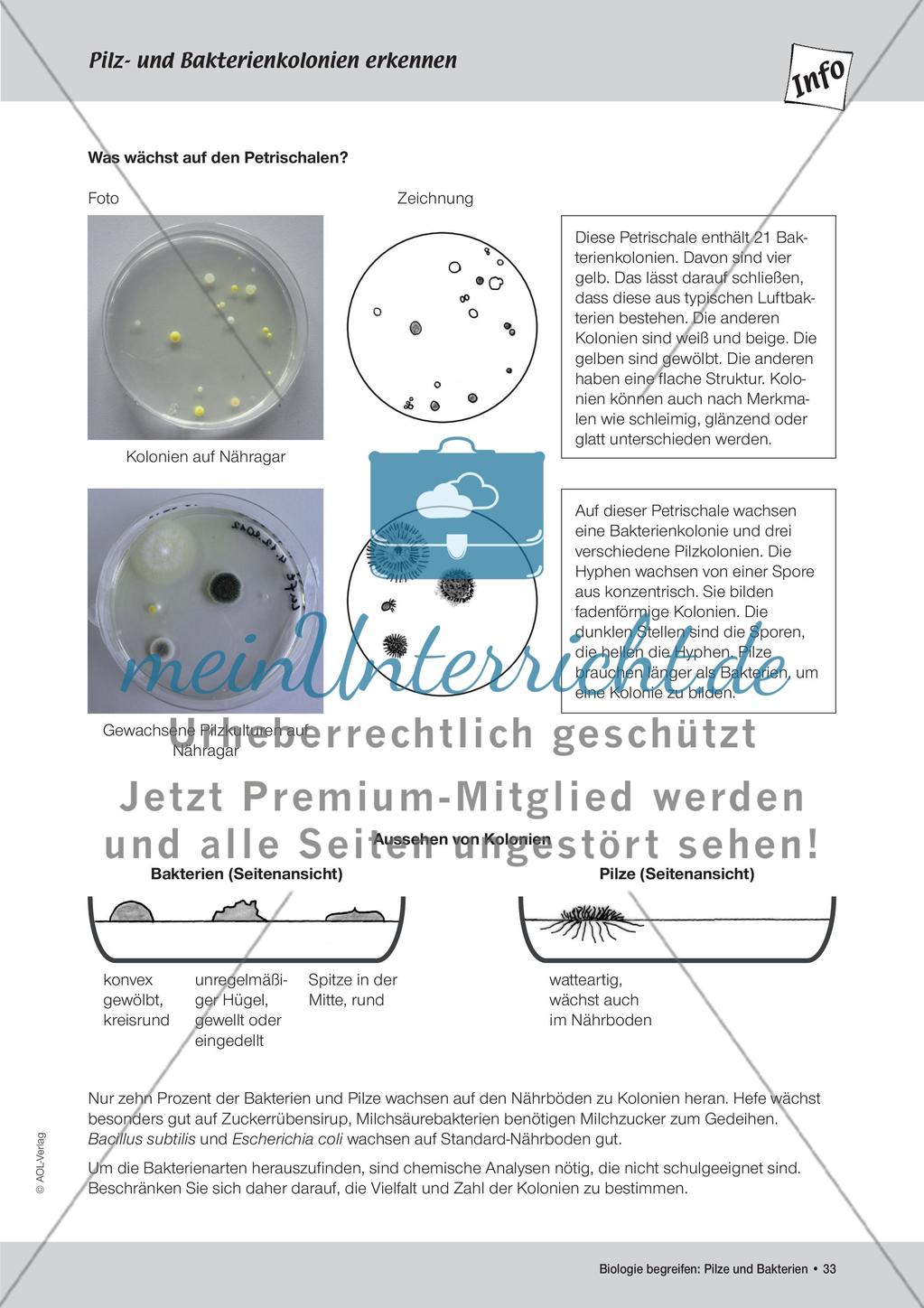 Abklatschversuche I und II Preview 2