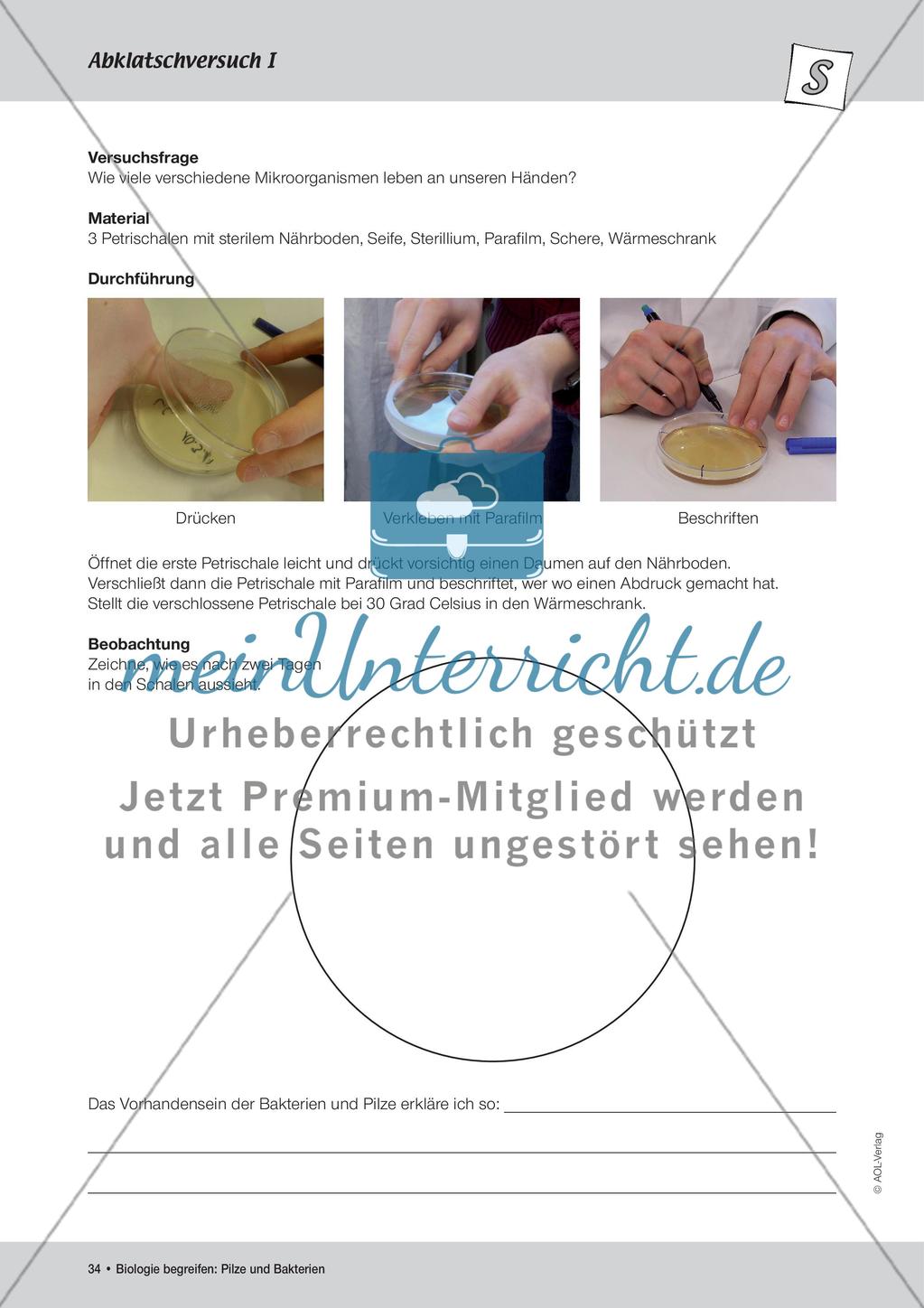 Abklatschversuche I und II Preview 3