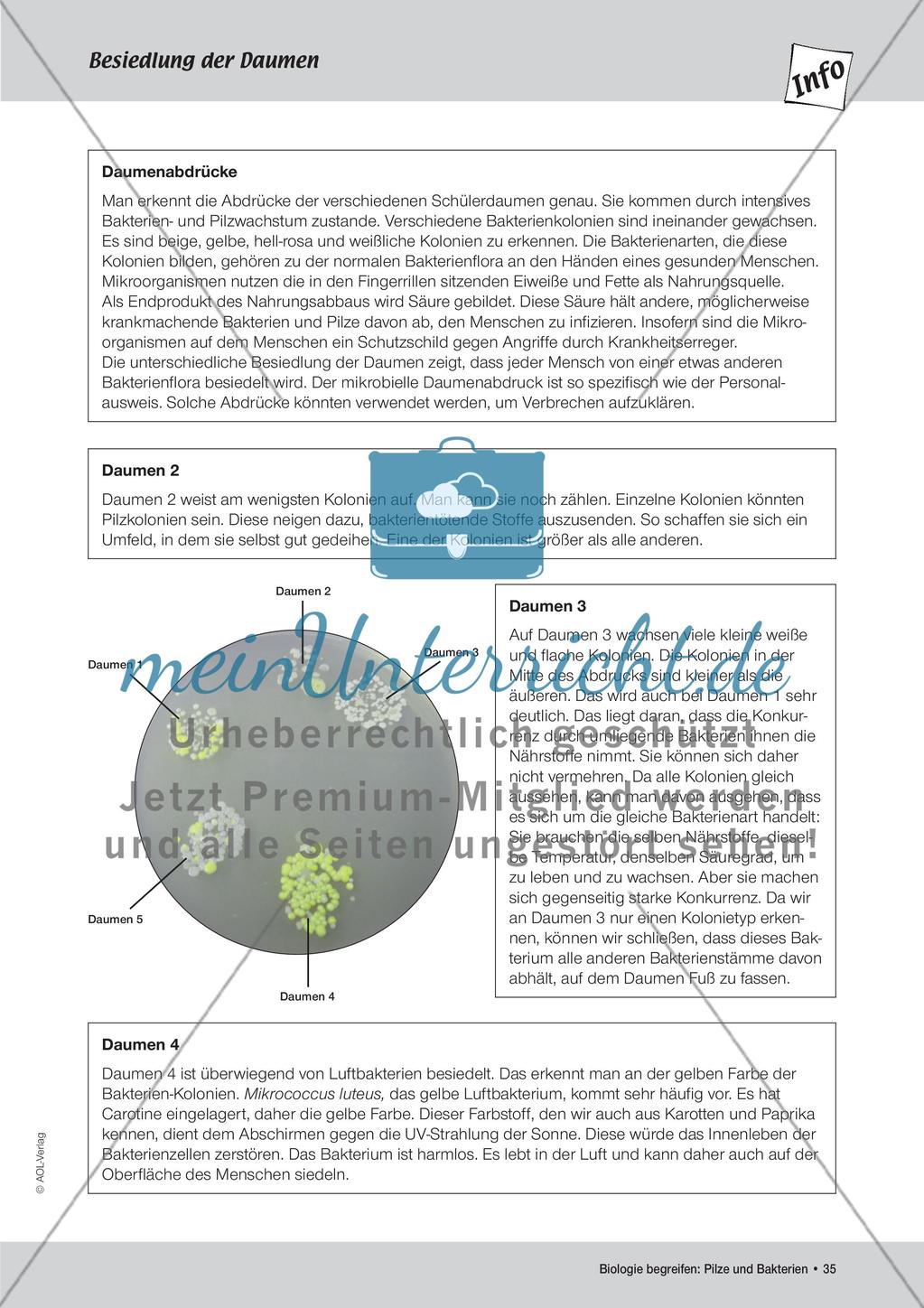 Abklatschversuche I und II Preview 4