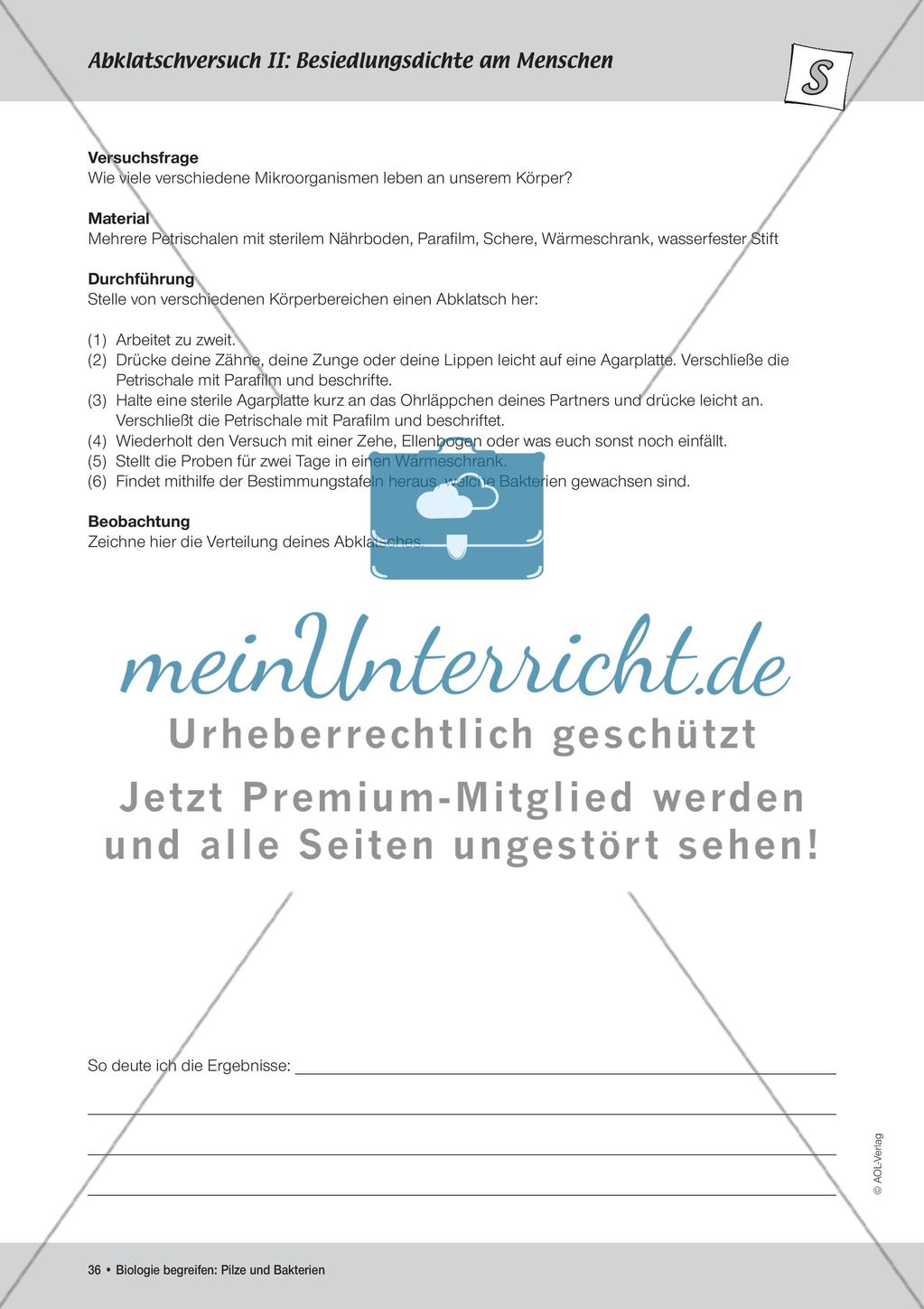 Abklatschversuche I und II Preview 5