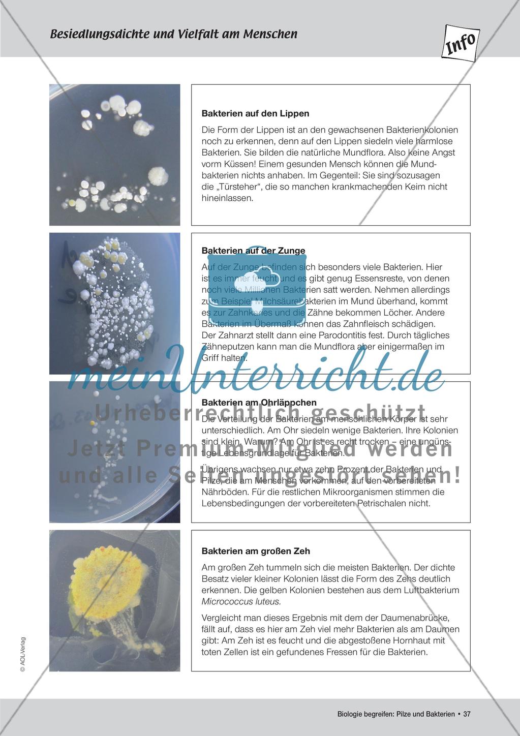 Abklatschversuche I und II Preview 6