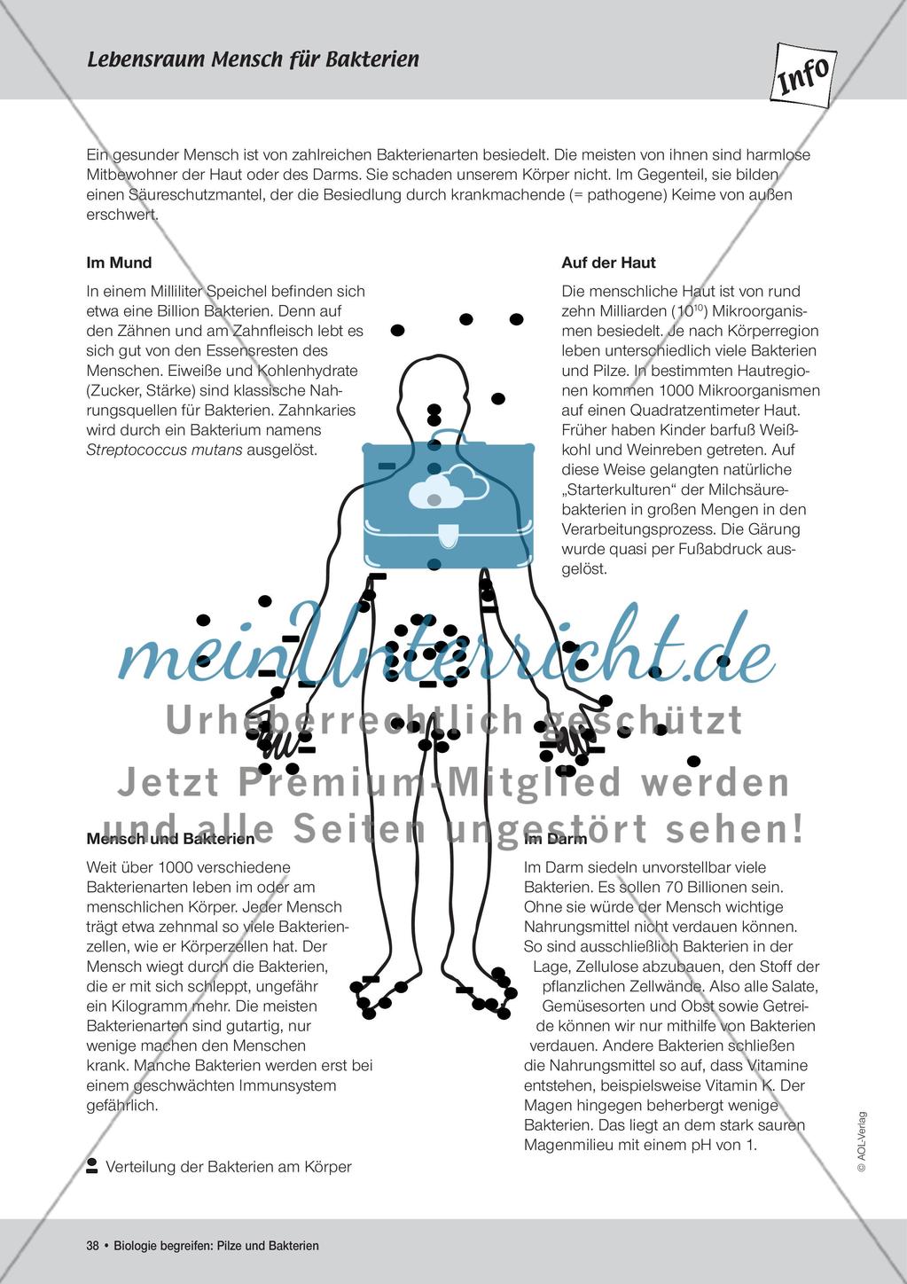 Abklatschversuche I und II Preview 7