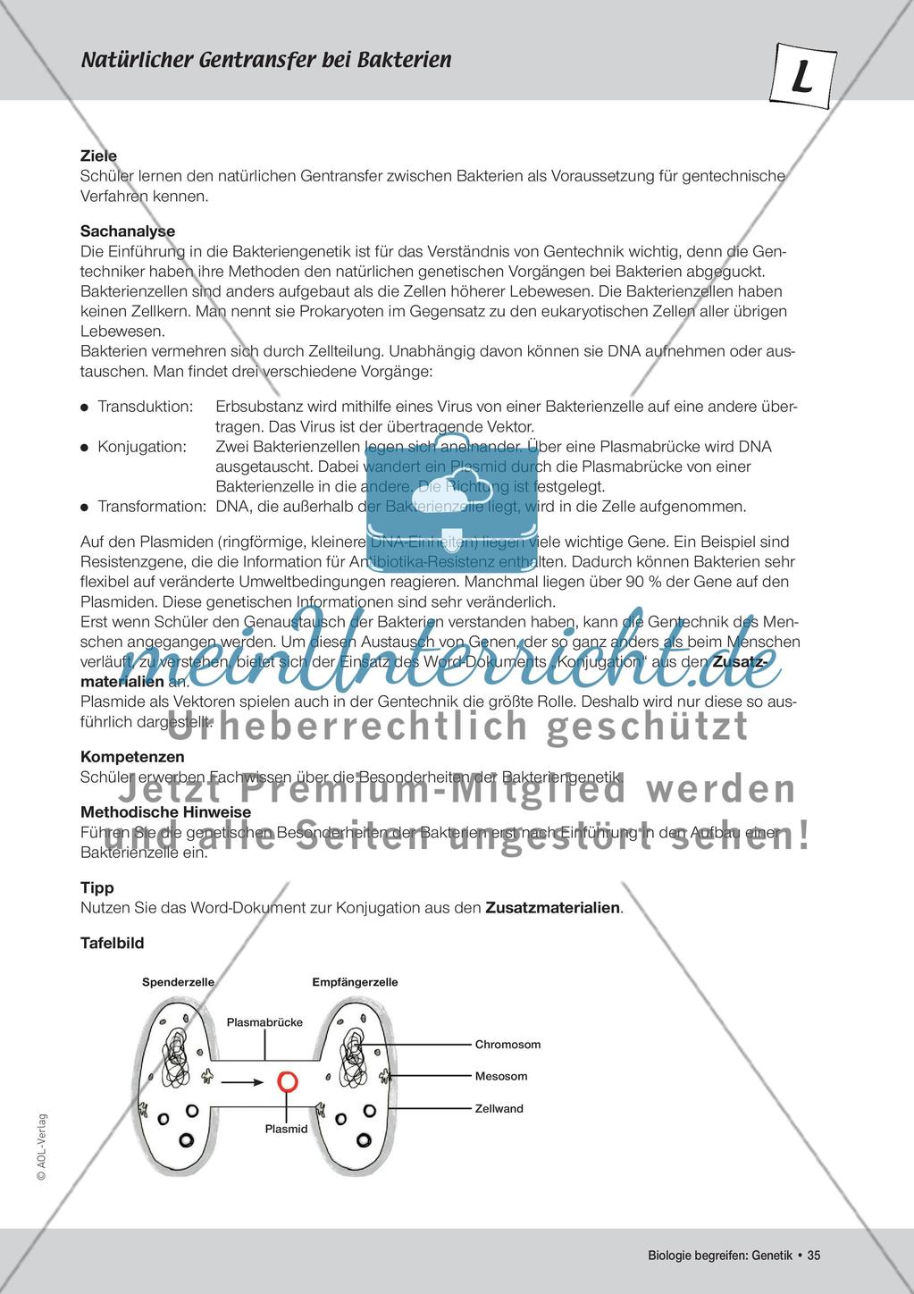 Gentechnik Preview 1