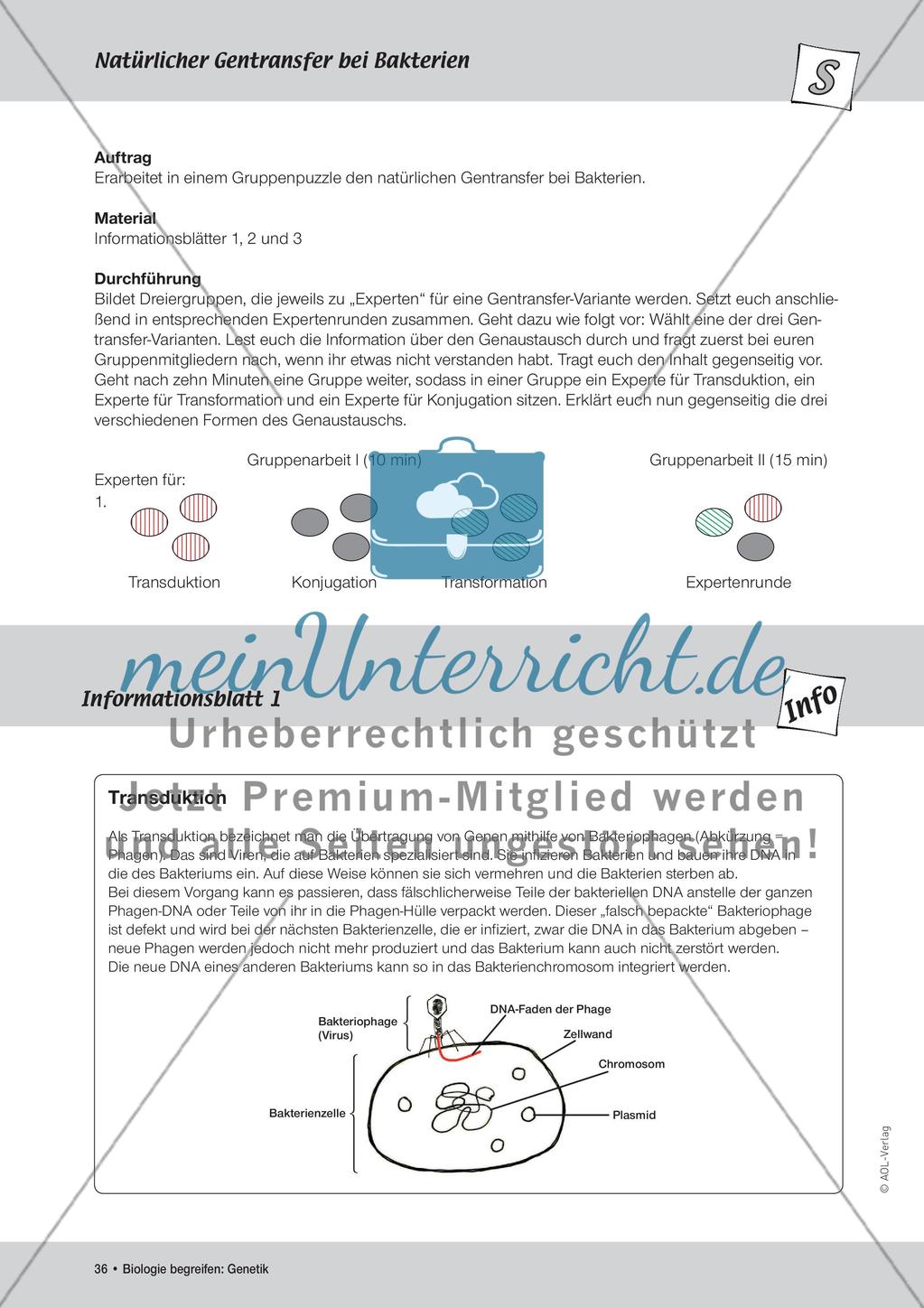 Gentechnik Preview 2