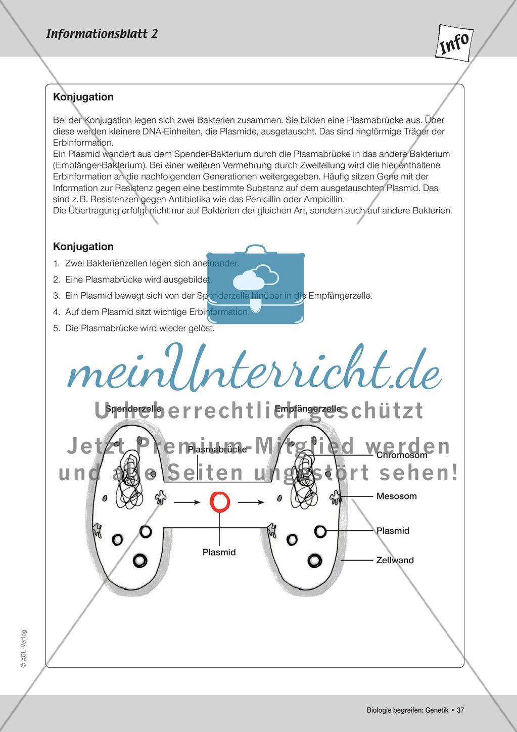 Gentechnik Preview 3