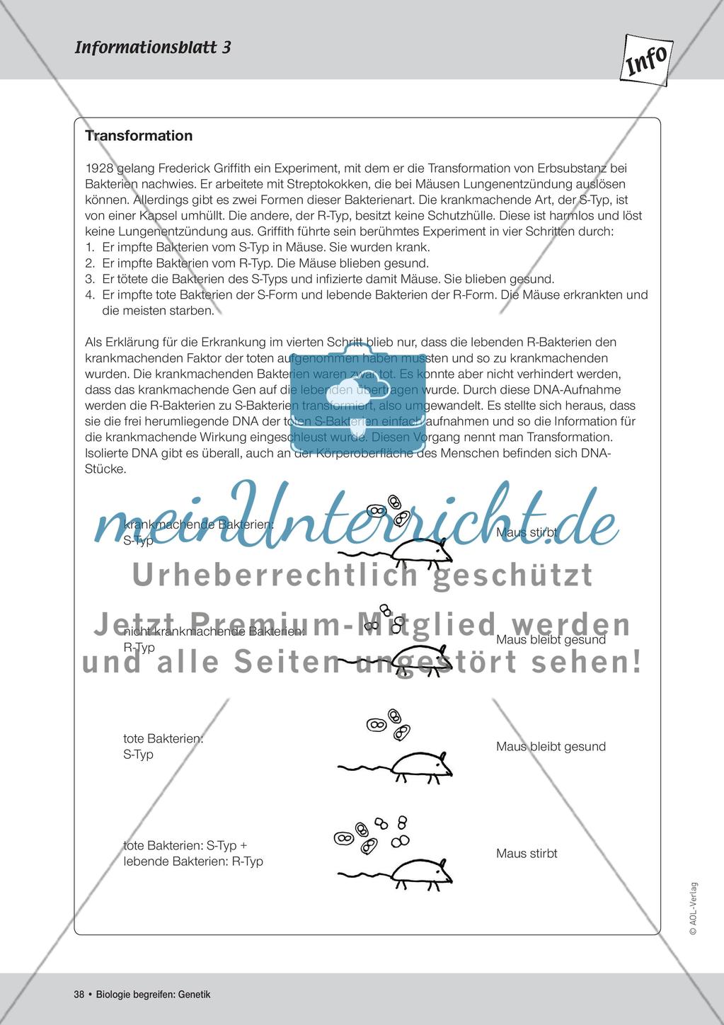 Gentechnik Preview 4