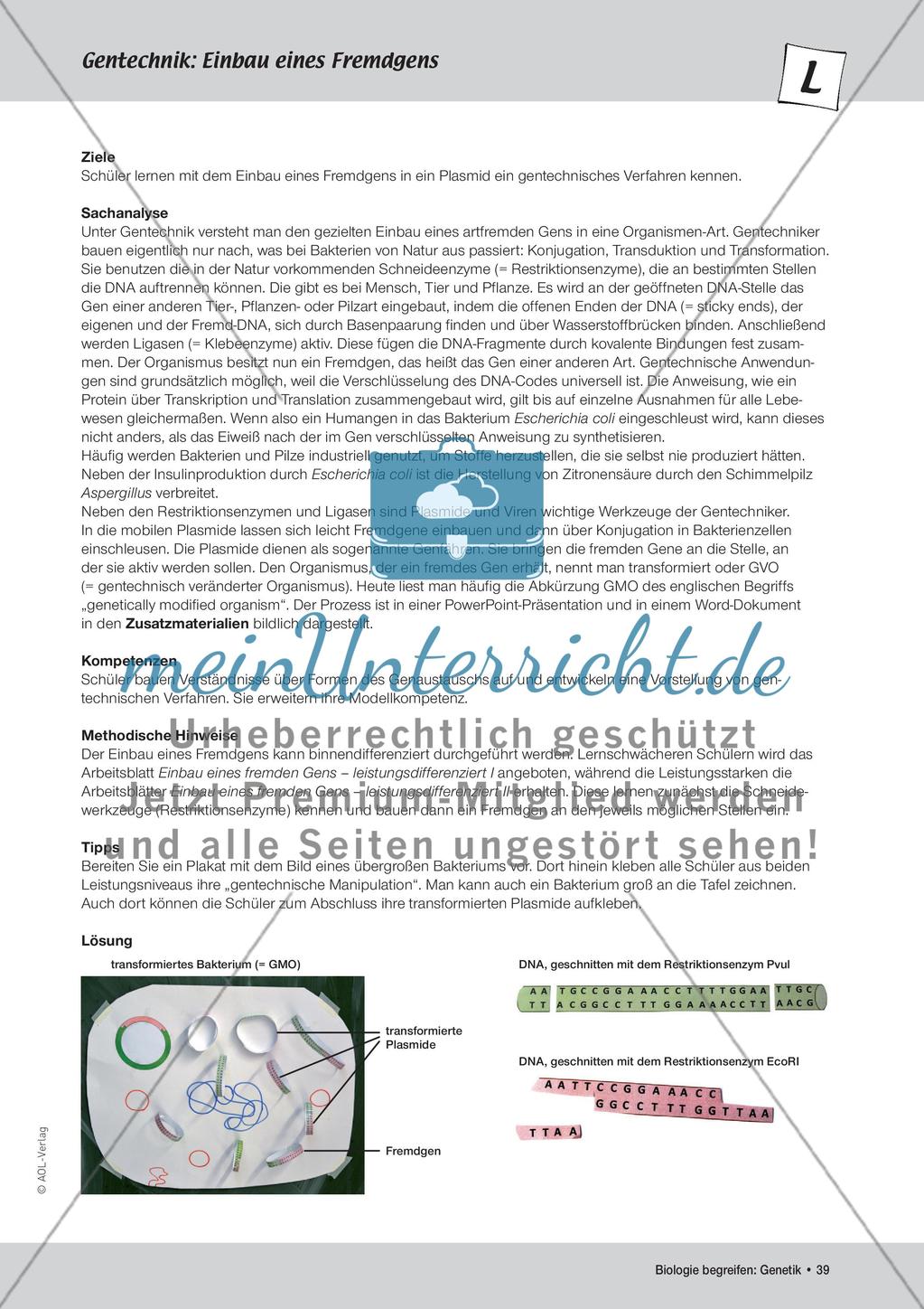 Gentechnik Preview 5