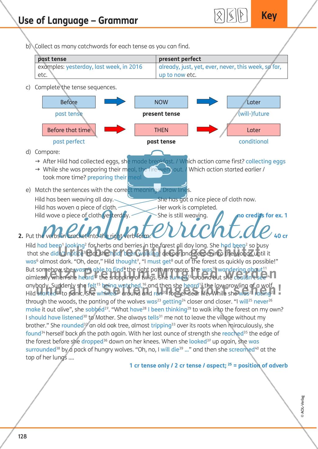 Use of Language – Grammar Preview 15