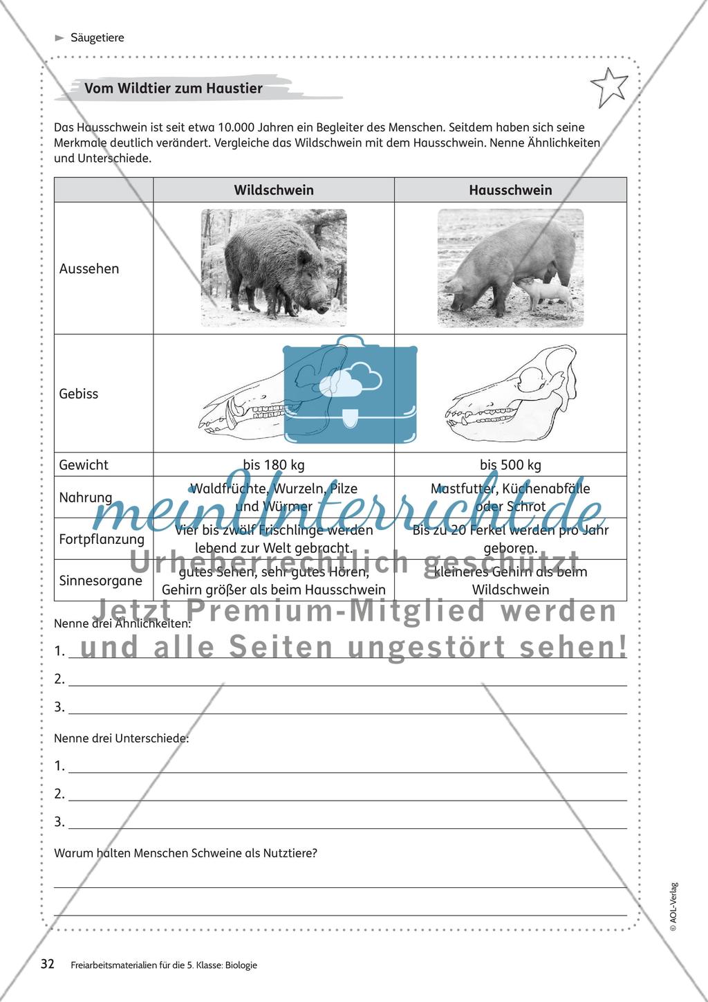 Säugetiere – Teil 2 Preview 10