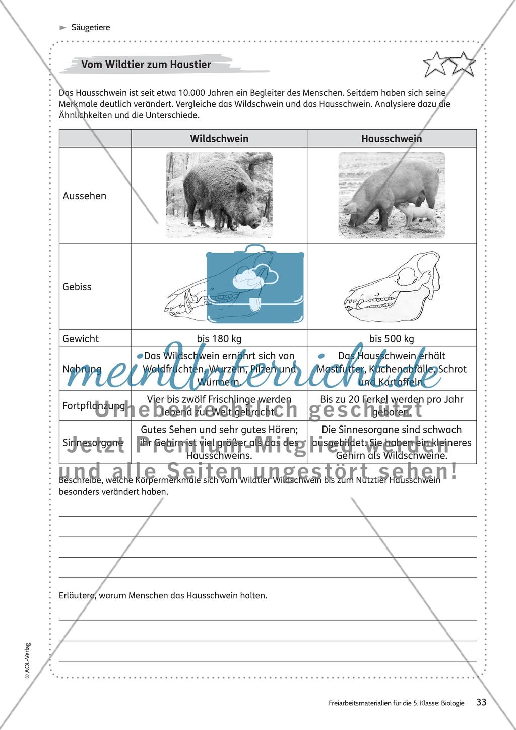 Säugetiere – Teil 2 Preview 11