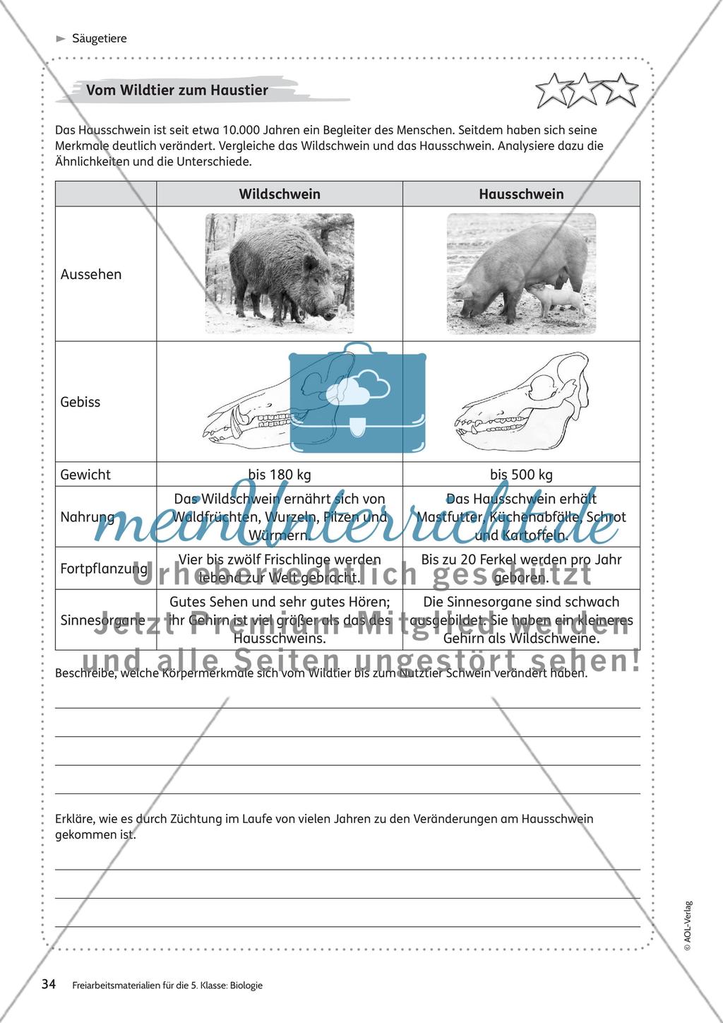Säugetiere – Teil 2 Preview 12