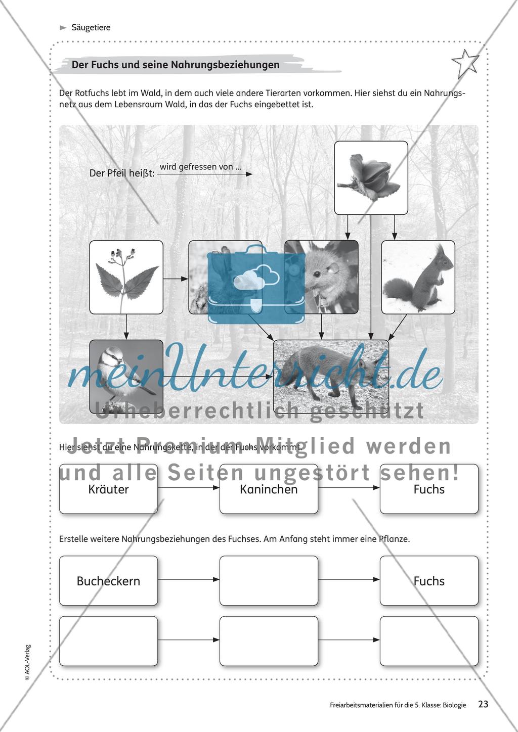 Säugetiere – Teil 2 Preview 1