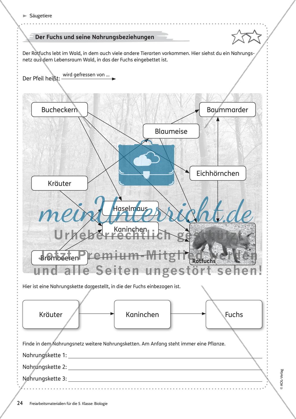 Säugetiere – Teil 2 Preview 2