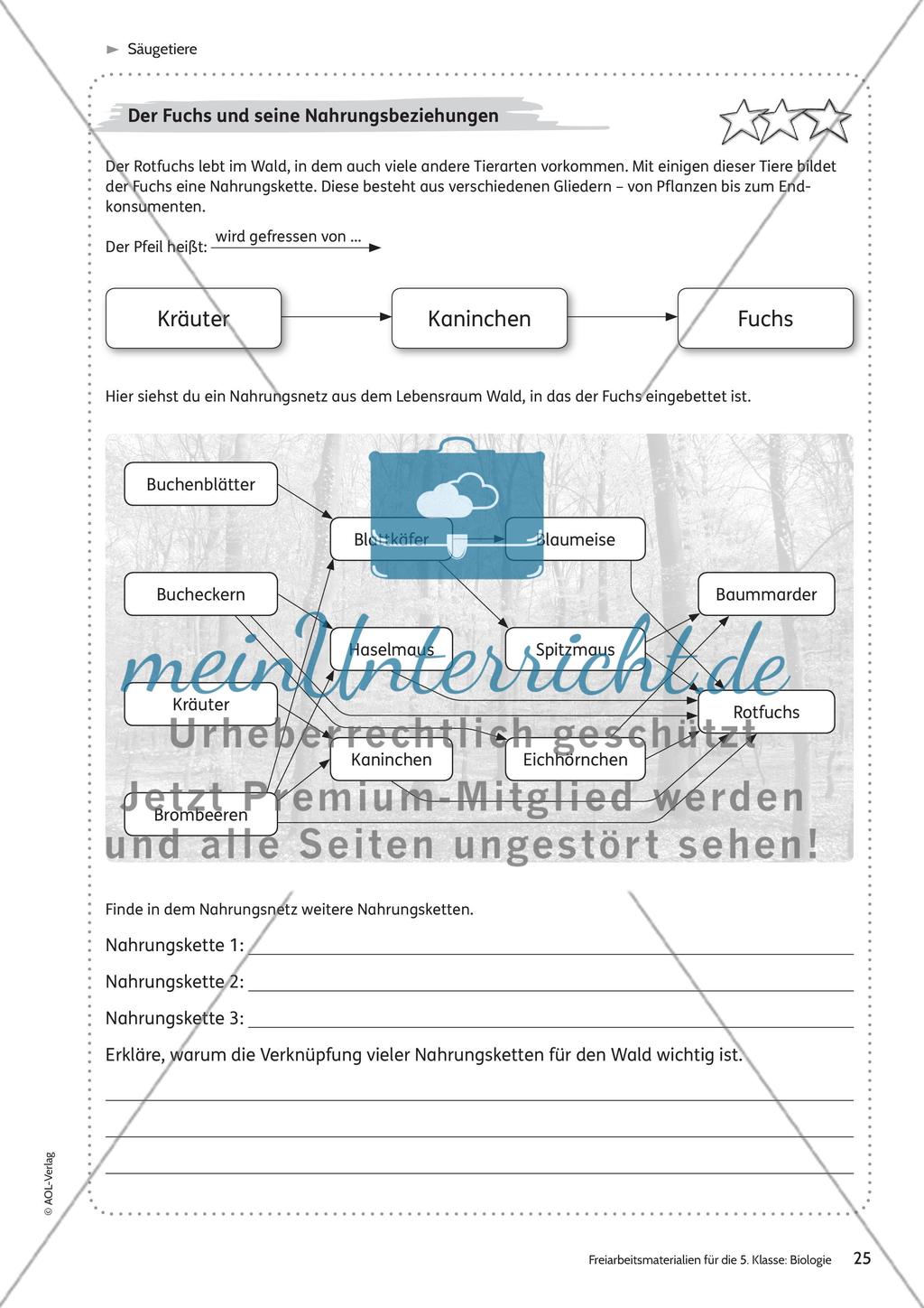 Säugetiere – Teil 2 Preview 3