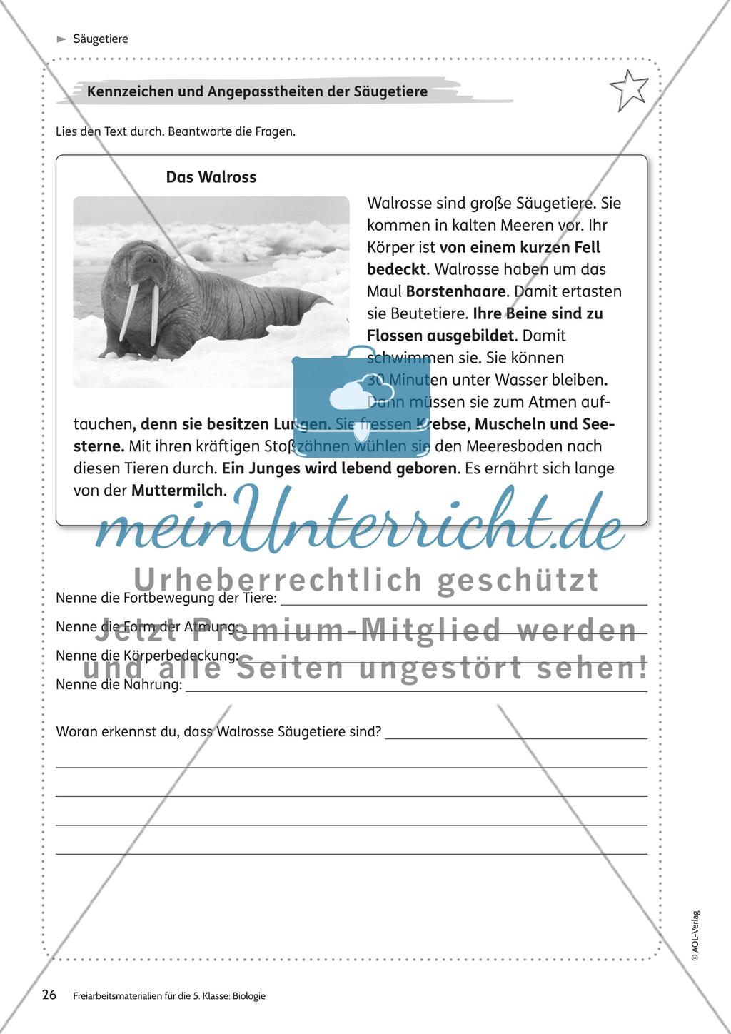 Säugetiere – Teil 2 Preview 4