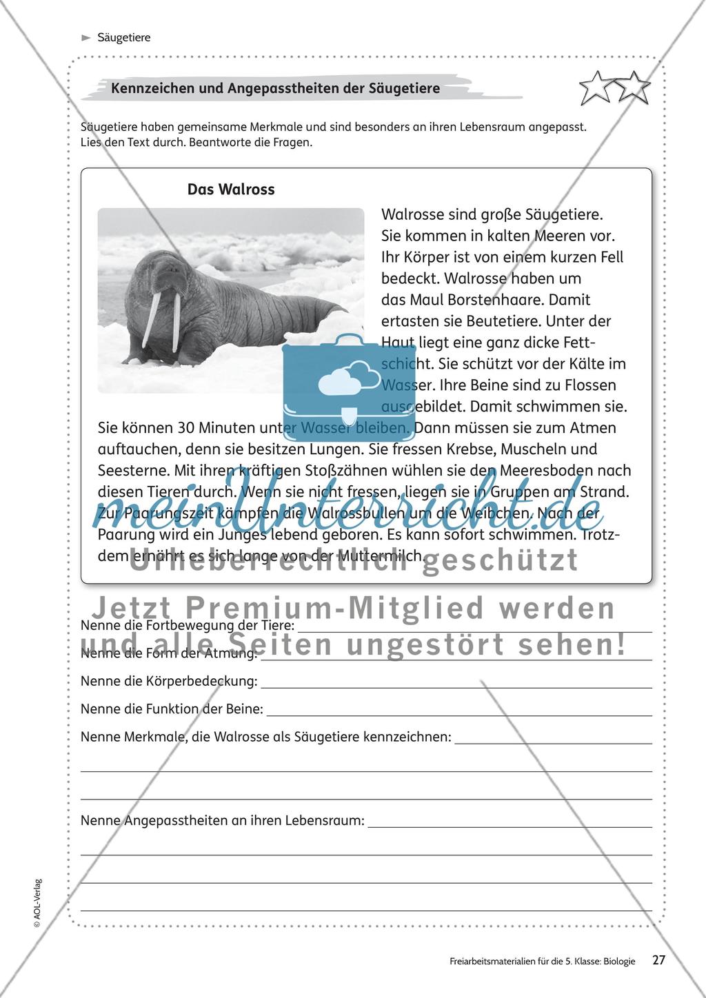Säugetiere – Teil 2 Preview 5