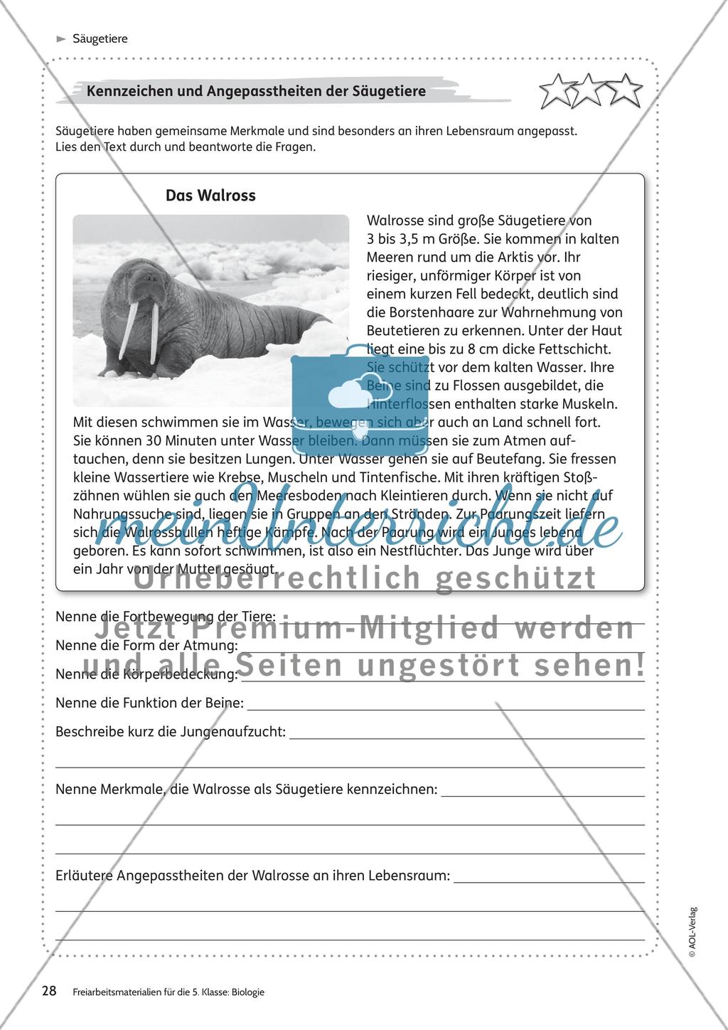 Säugetiere – Teil 2 Preview 6