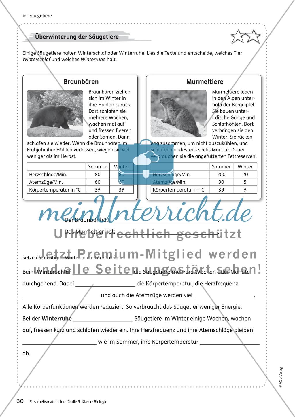 Säugetiere – Teil 2 Preview 8