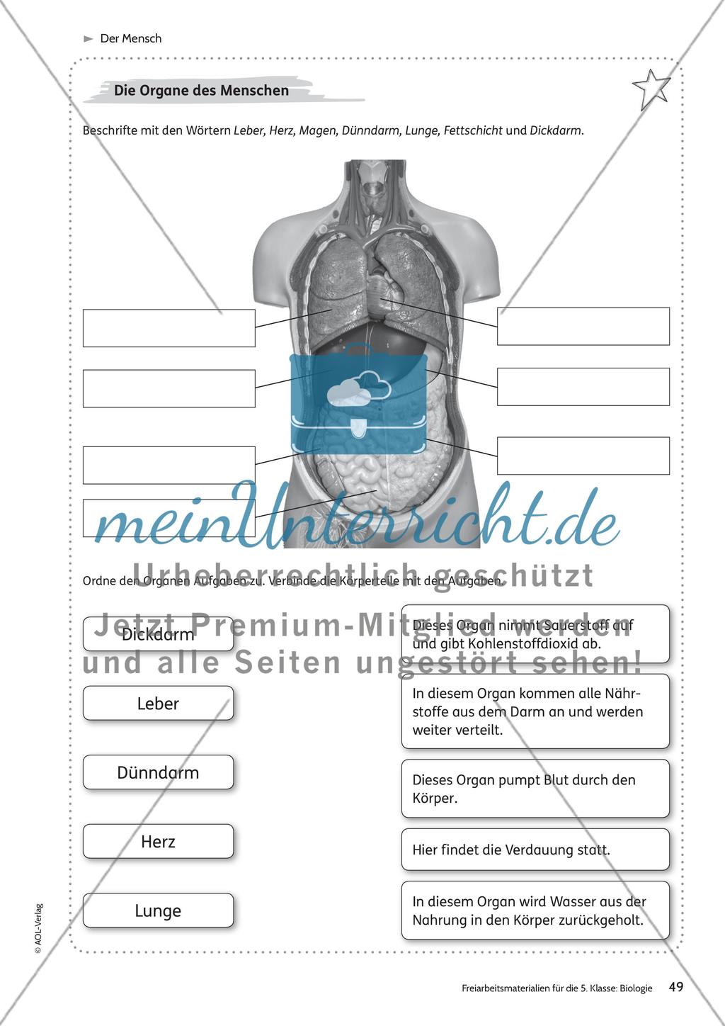 Der Mensch – Teil 1 Preview 1