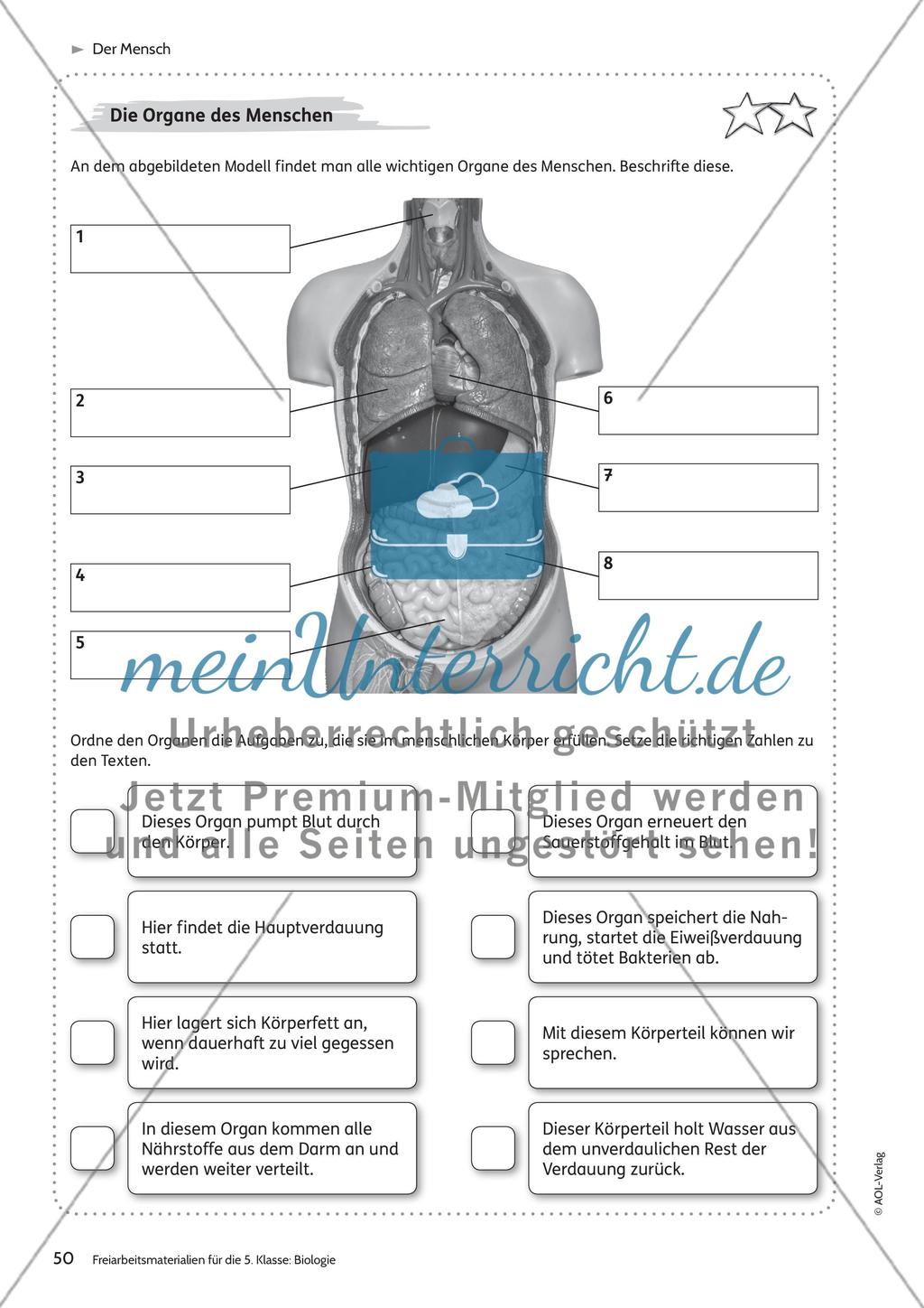 Der Mensch – Teil 1 Preview 2
