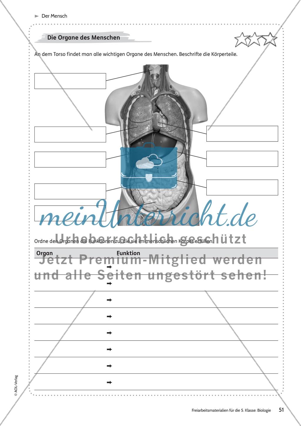 Der Mensch – Teil 1 Preview 3