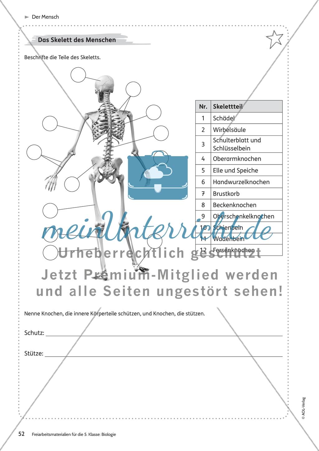 Der Mensch – Teil 1 Preview 4