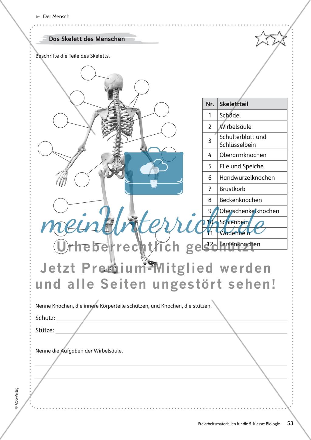 Der Mensch – Teil 1 Preview 5