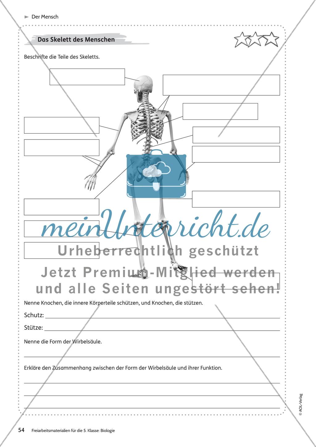 Der Mensch – Teil 1 Preview 6