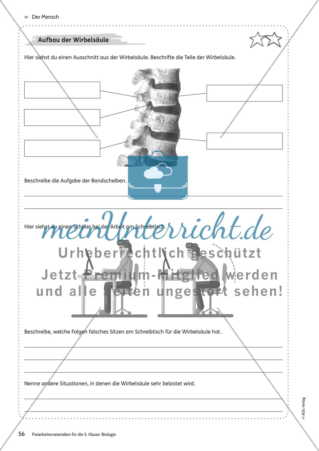 Der Mensch – Teil 1 Preview 8