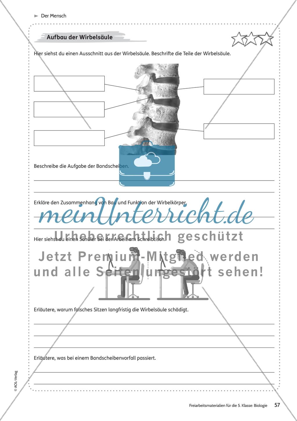 Der Mensch – Teil 1 Preview 9